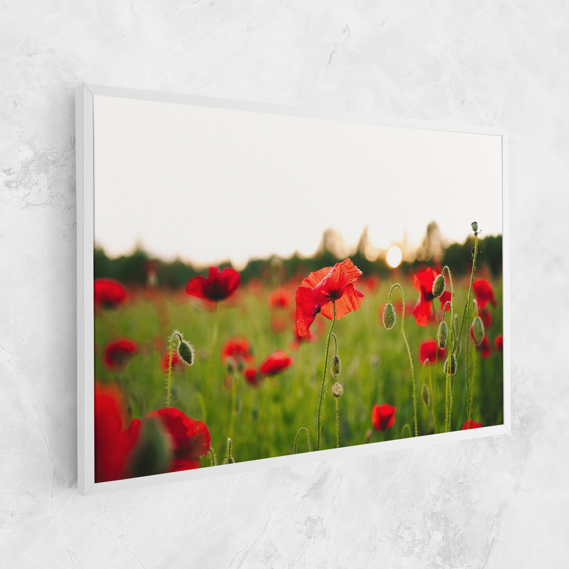 Leinwandbild Poppies Field mockup 1