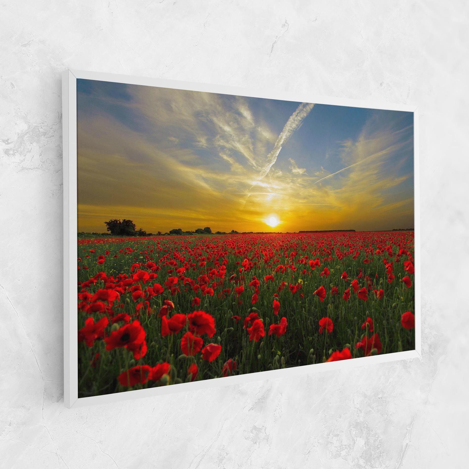 Poppies Sunset mockup 1
