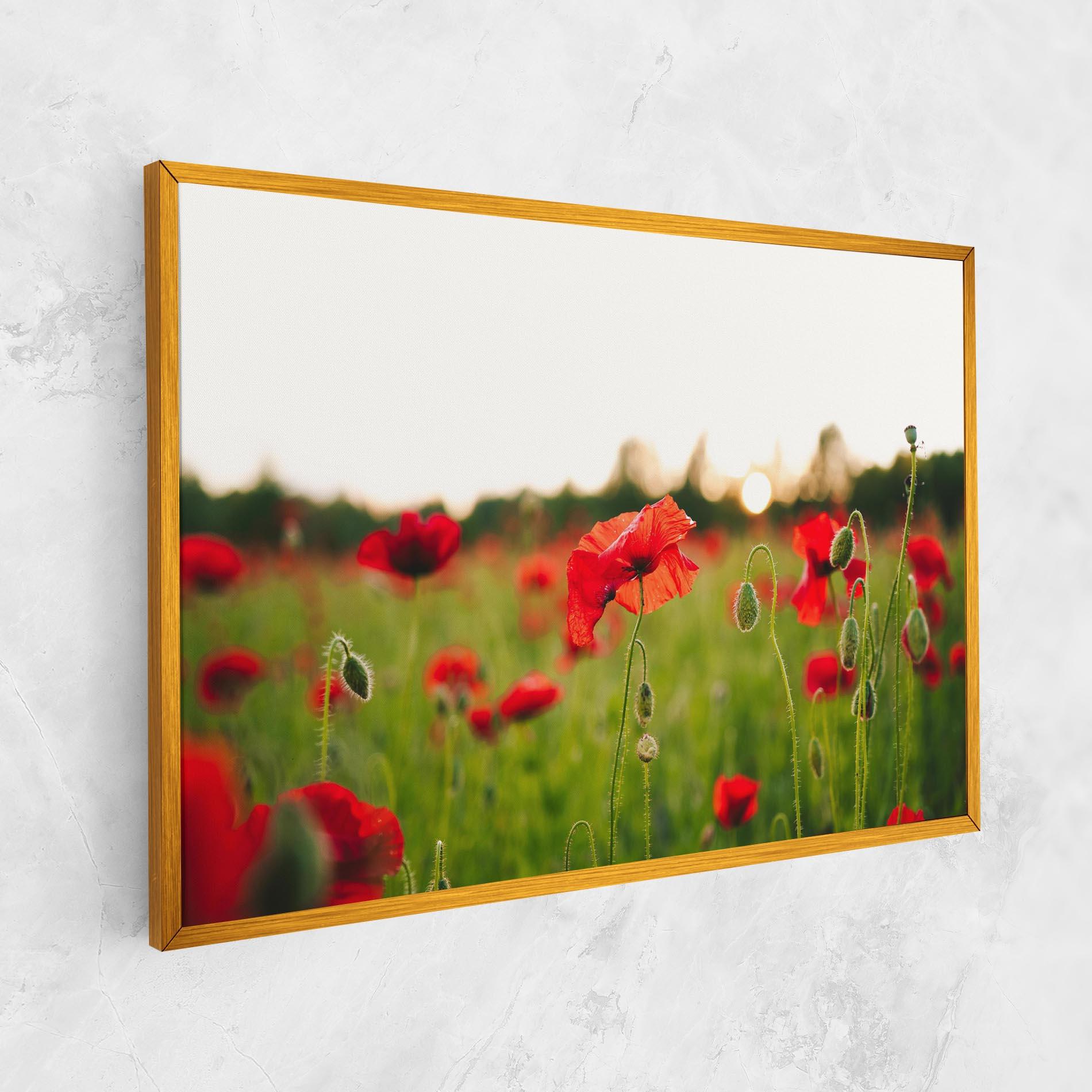 Leinwandbild Poppies Field mockup 1