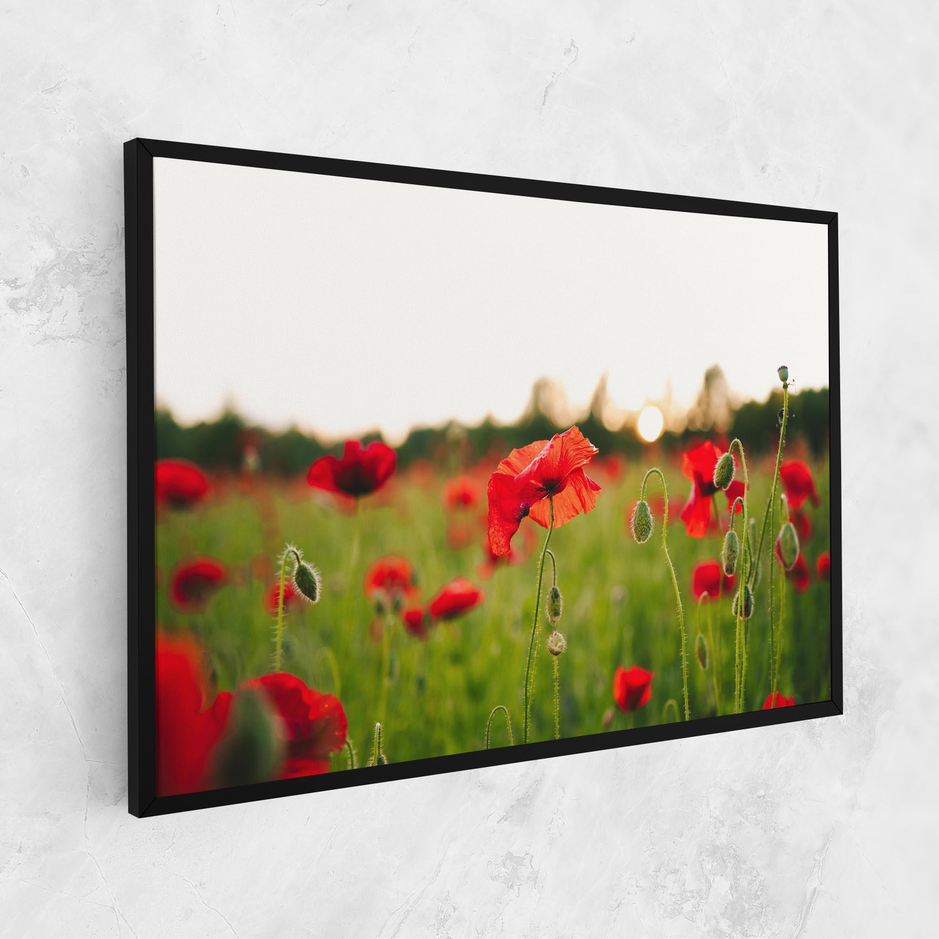 Leinwandbild Poppies Field mockup 1