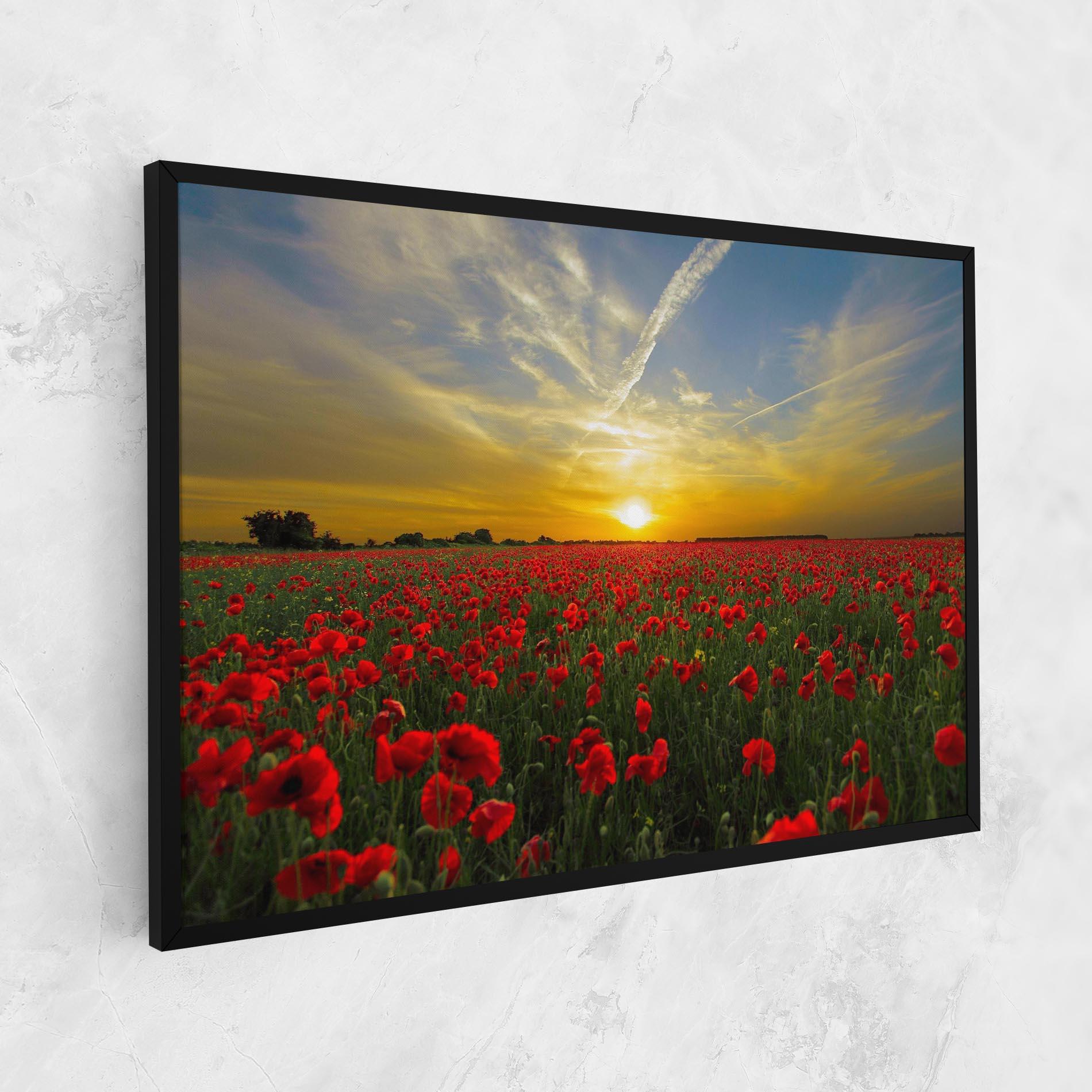 Leinwandbild Poppies Sunset mockup 1