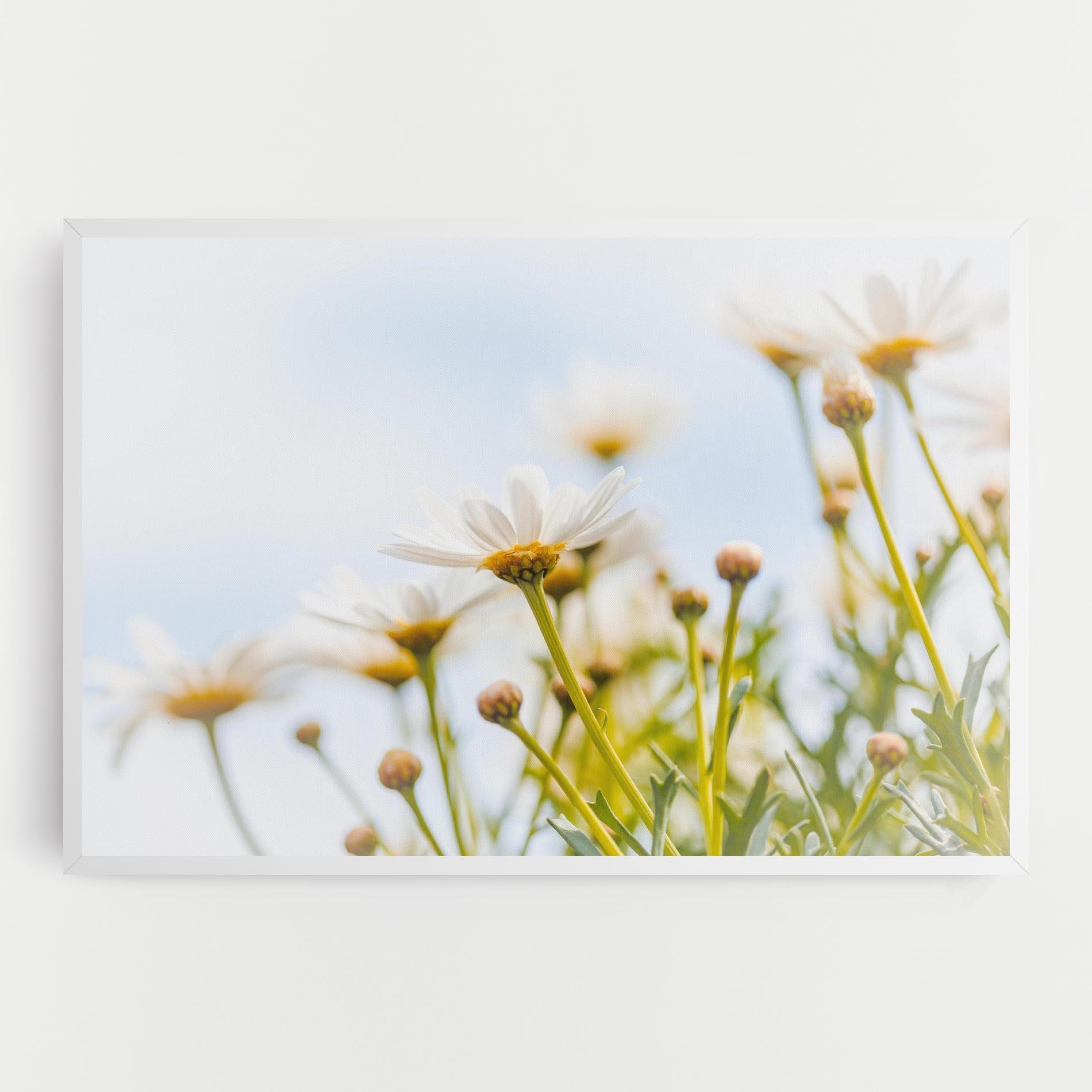 Leinwandbild Dreamy Daisy mockup 0