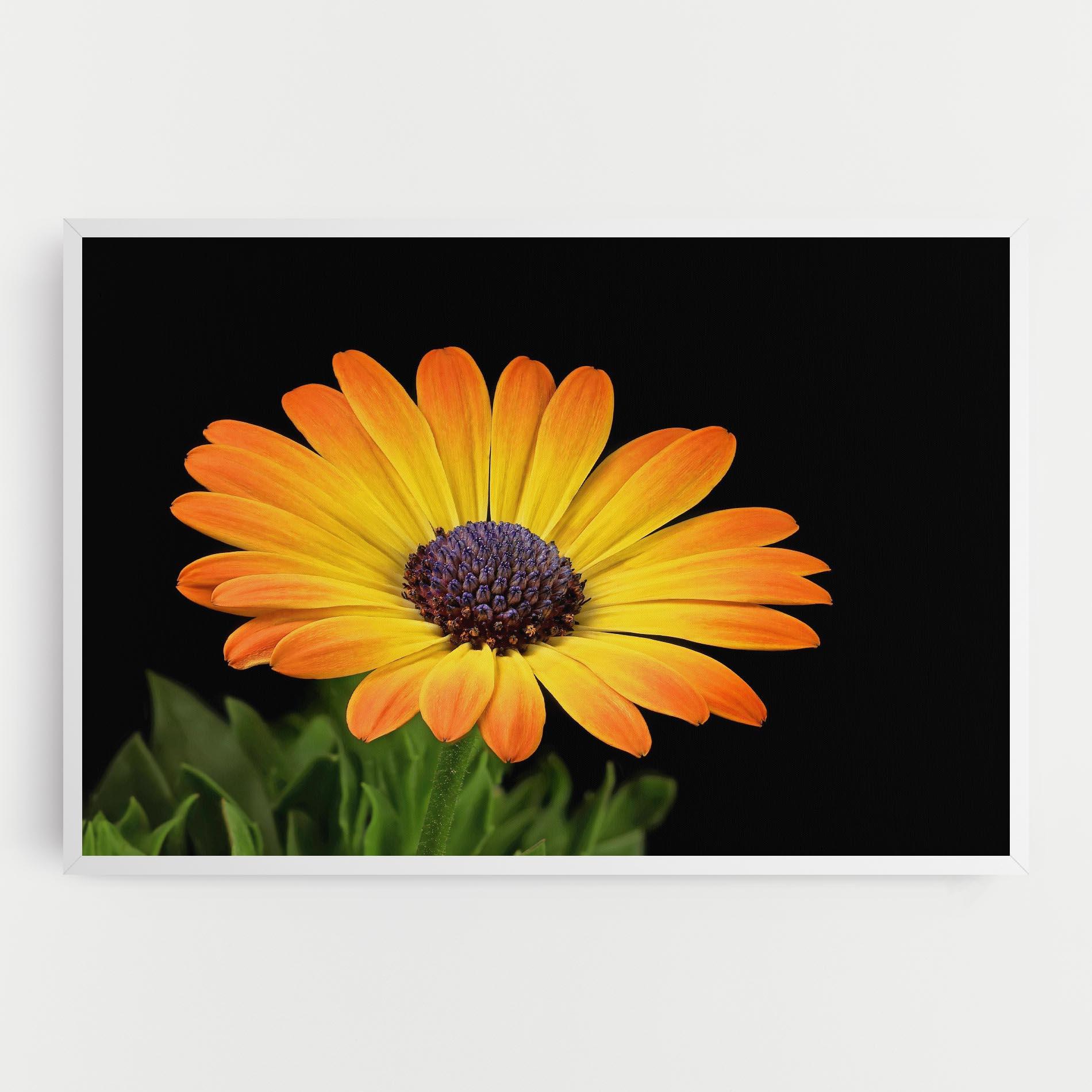 Leinwandbild Yellow Daisy mockup 0