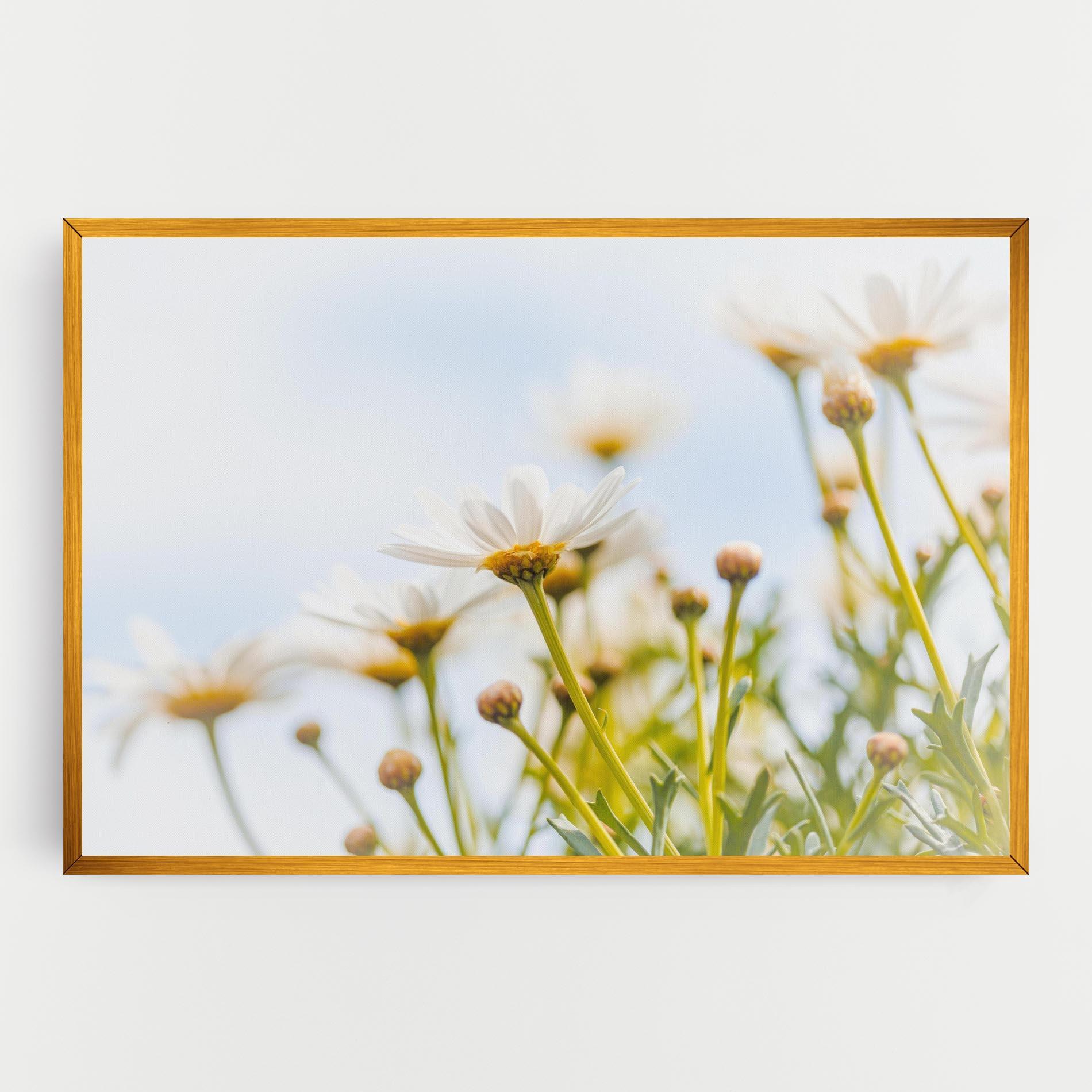 Leinwandbild Dreamy Daisy mockup 0