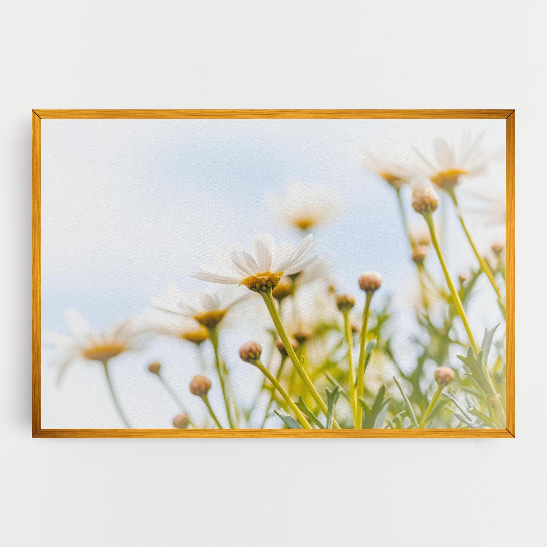 Dreamy Daisy mockup 0