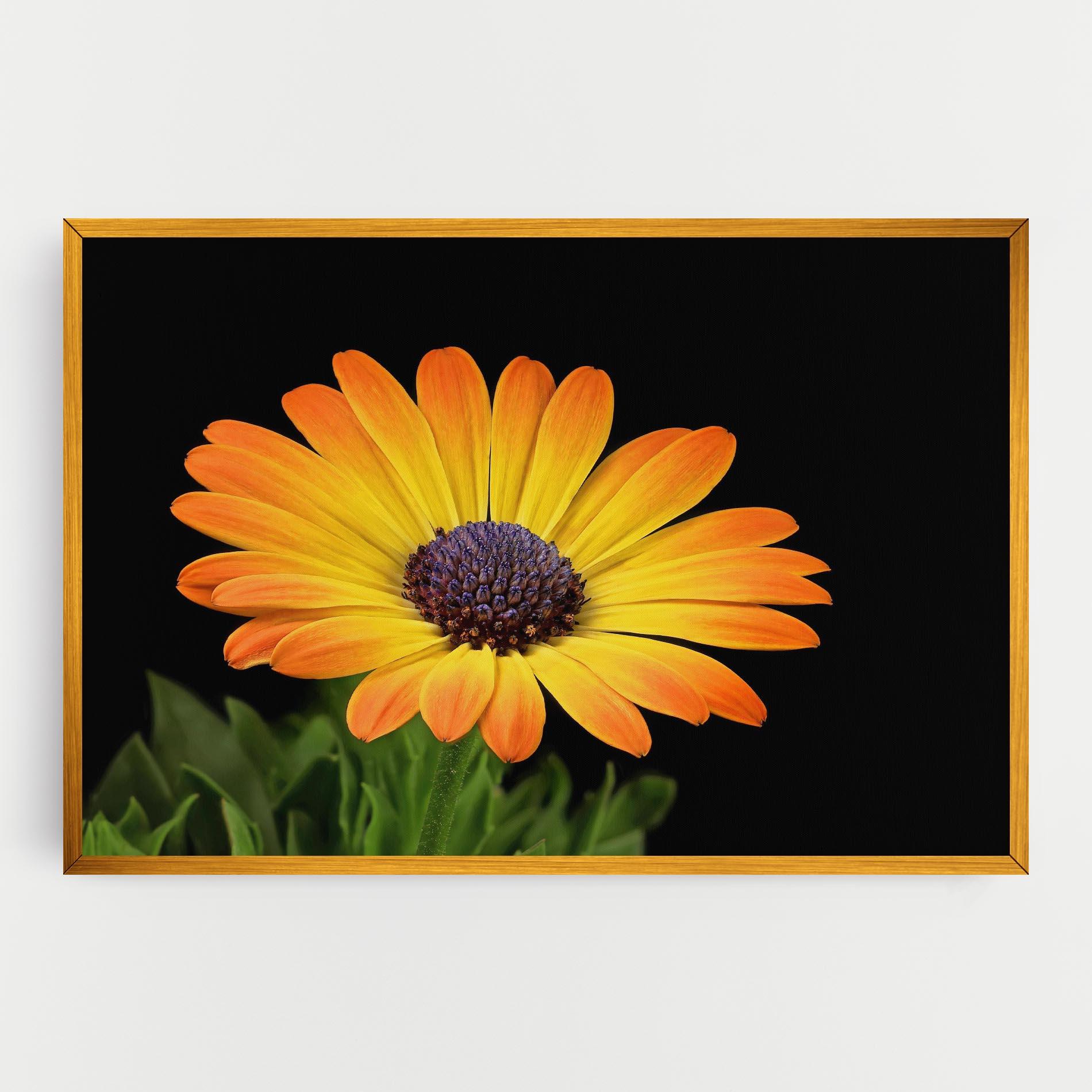 Leinwandbild Yellow Daisy mockup 0