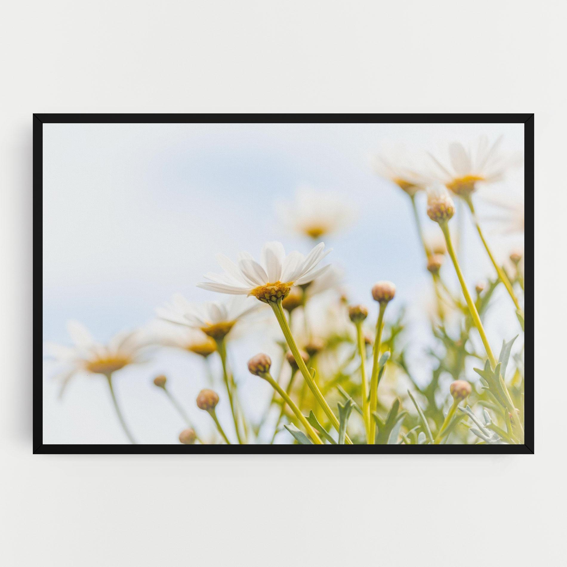 Leinwandbild Dreamy Daisy mockup 0