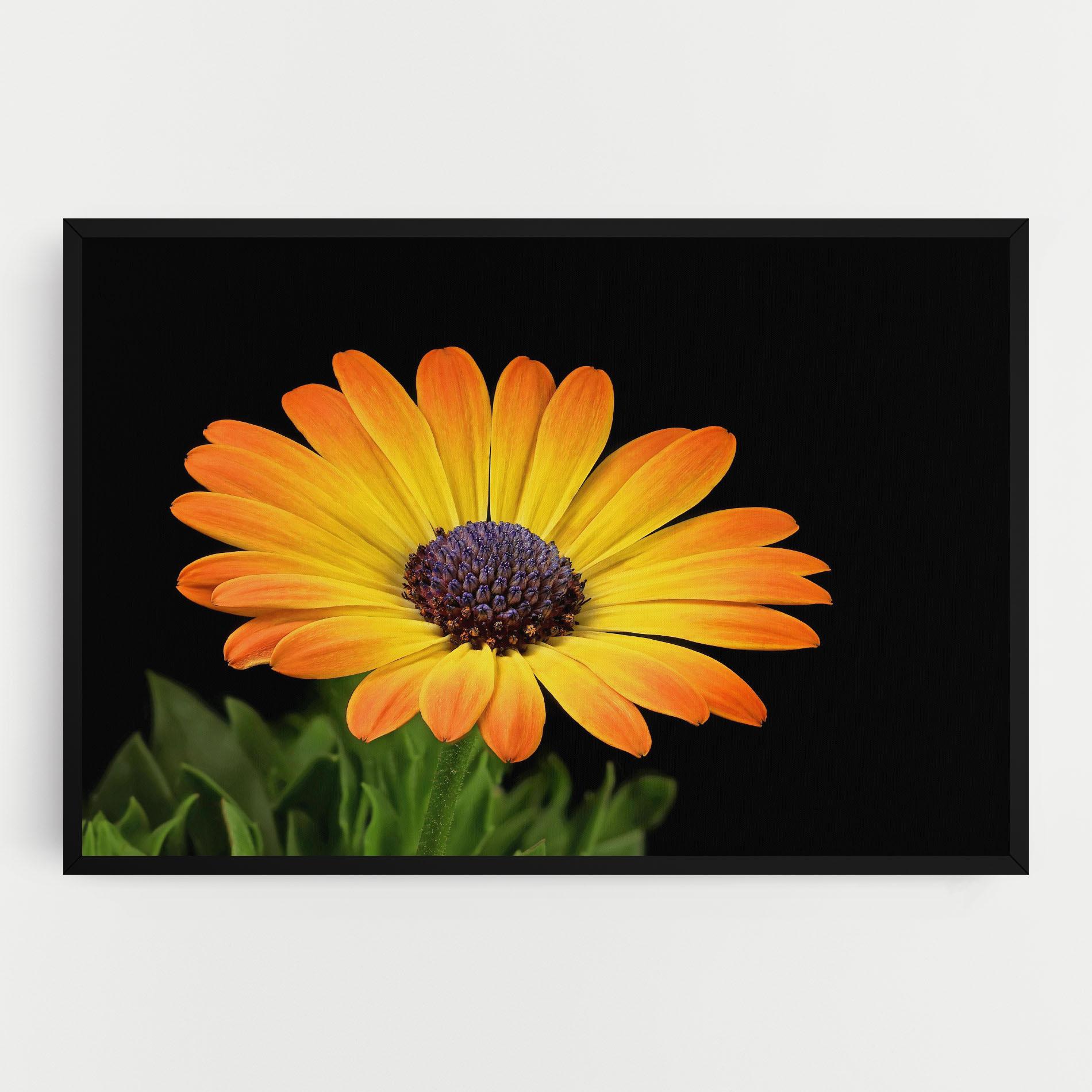 Leinwandbild Yellow Daisy mockup 0