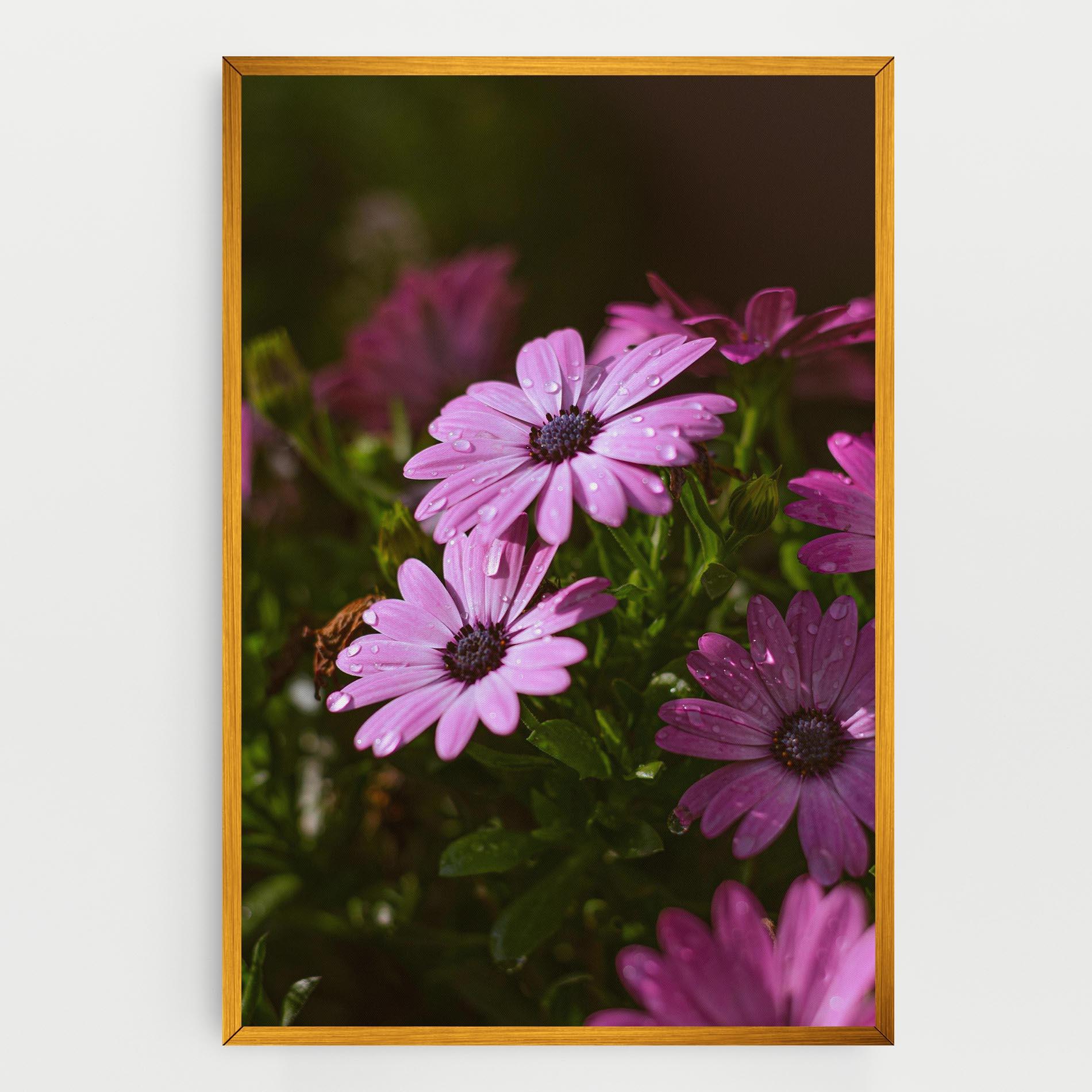 Leinwandbild Purple Daisy mockup 0