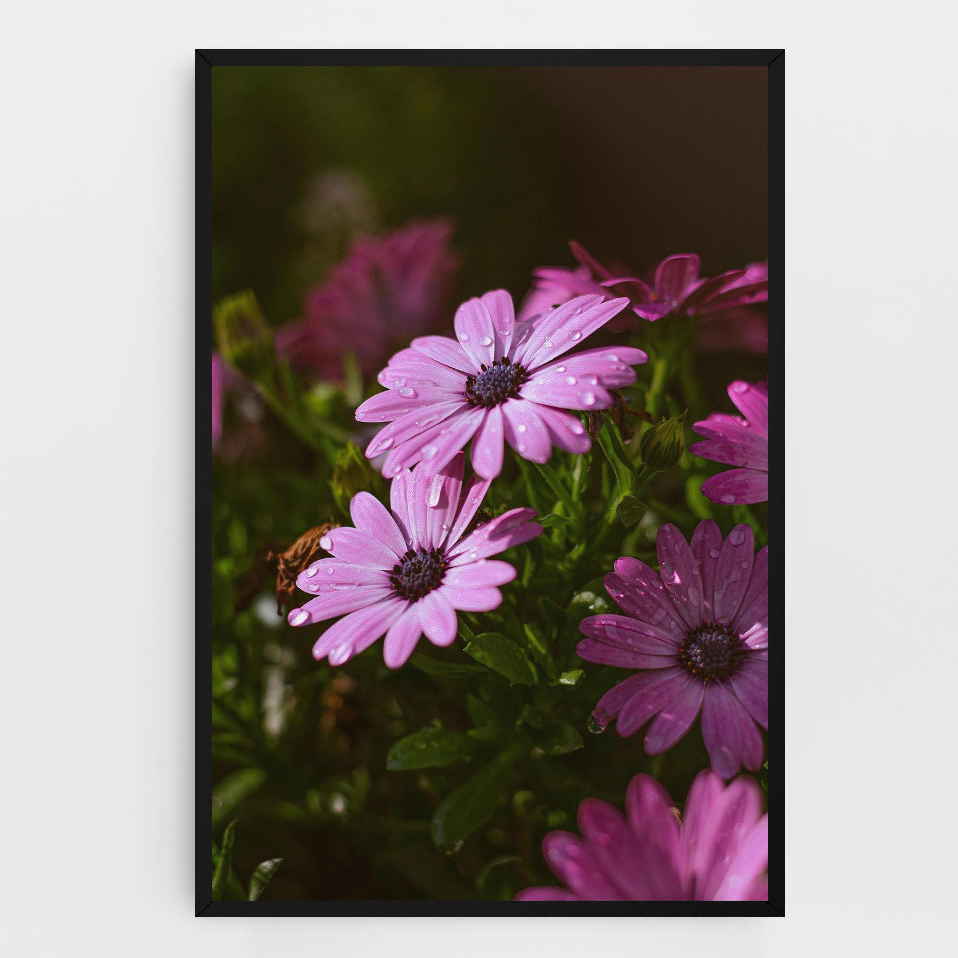 Leinwandbild Purple Daisy mockup 0