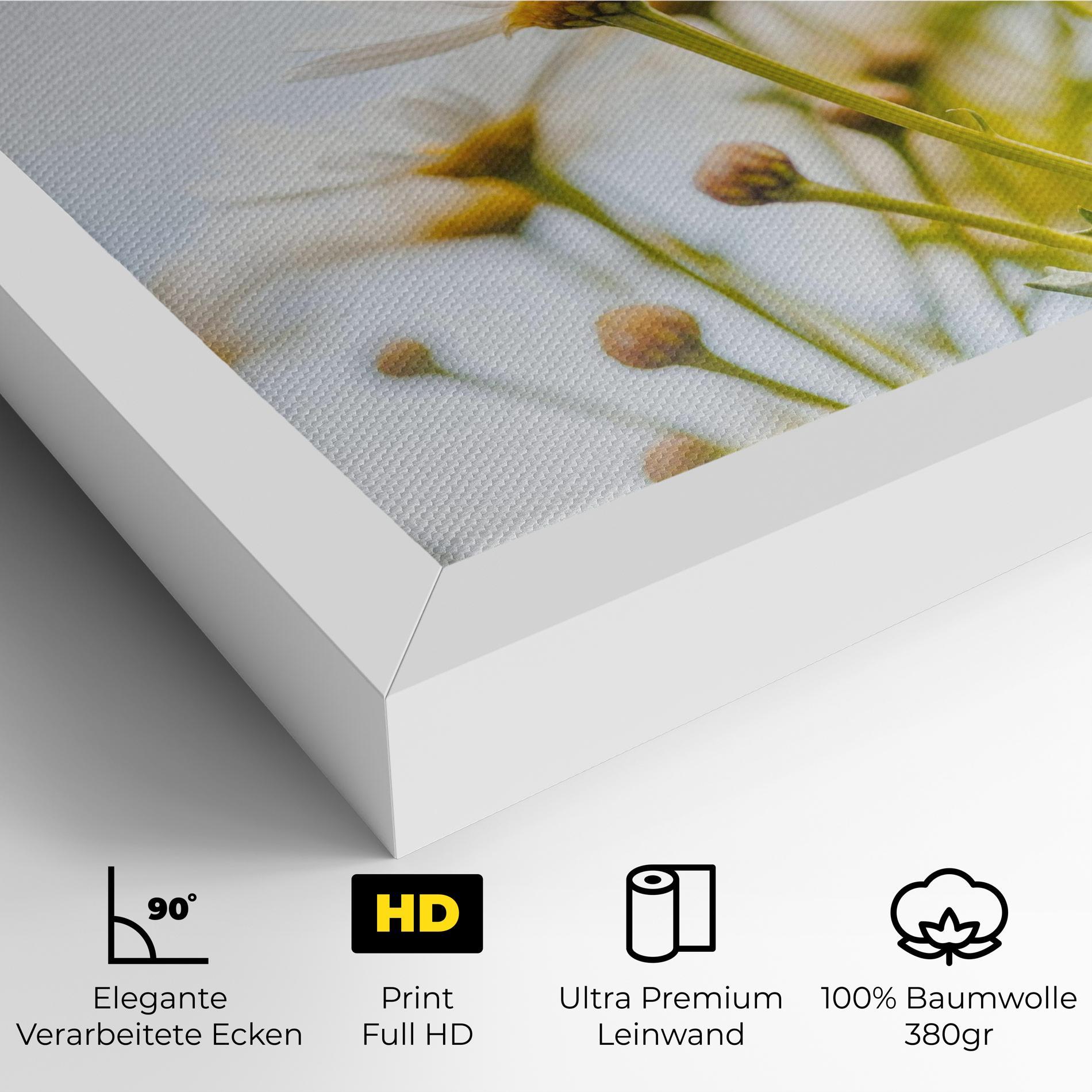 Leinwandbild Dreamy Daisy mockup 4