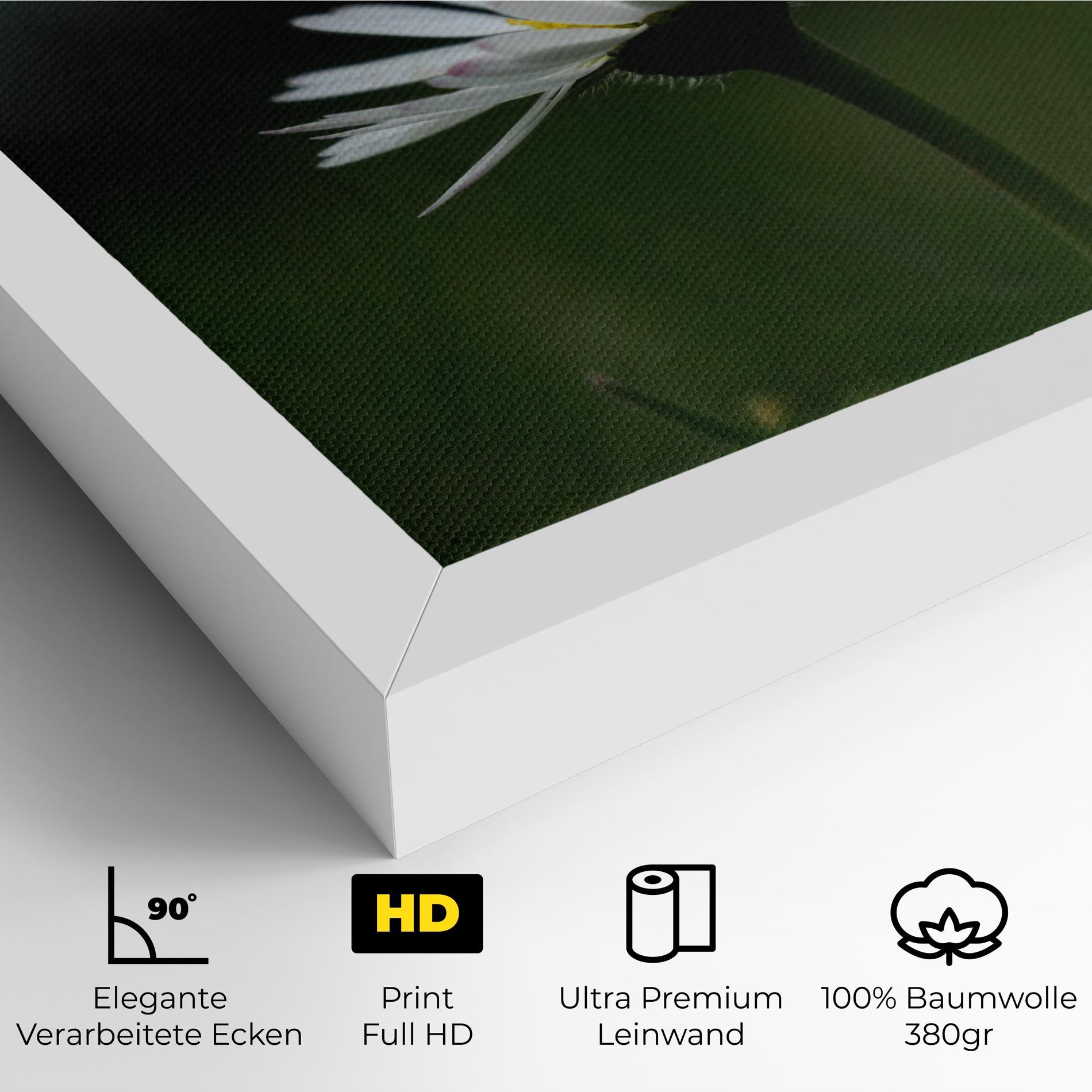 Leinwandbild Garden Daisy mockup 4