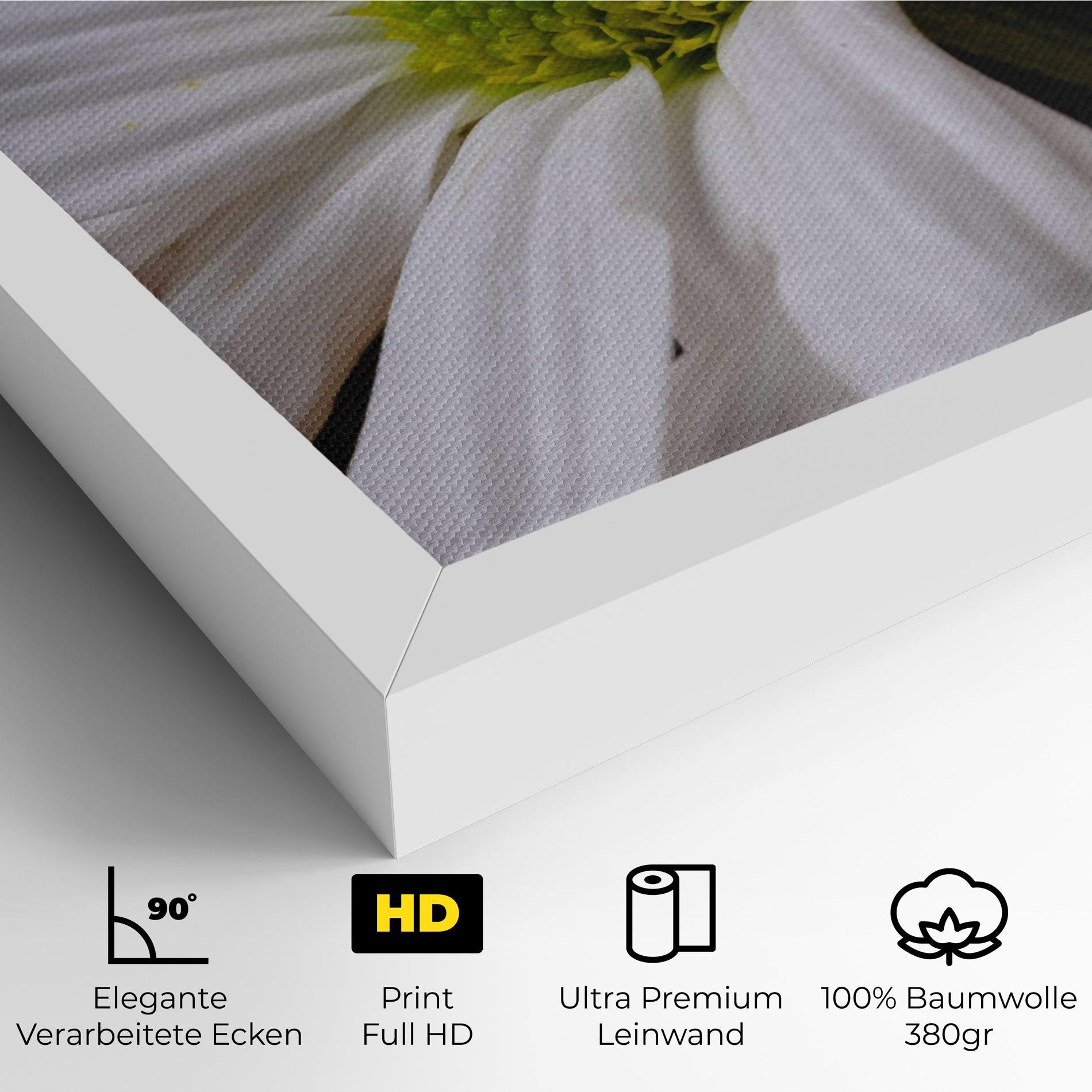 Leinwandbild Green Middle Daisy mockup 4