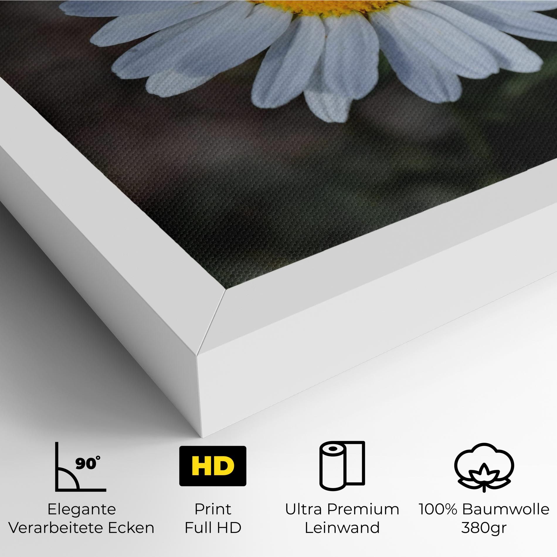 Strong Yellow Daisy mockup 4