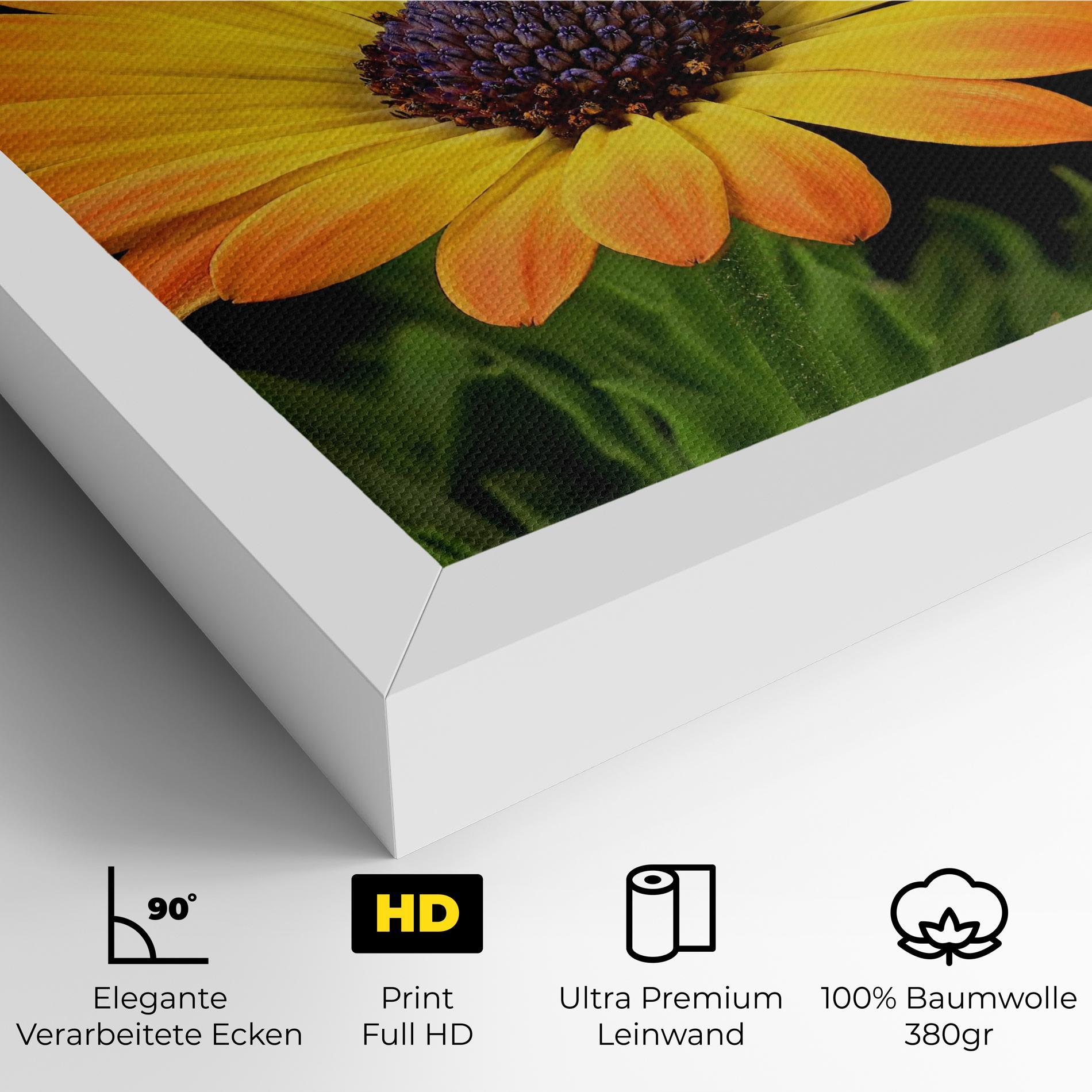 Leinwandbild Yellow Daisy mockup 4