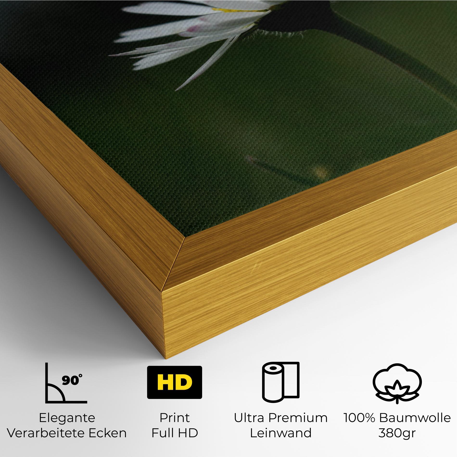 Leinwandbild Garden Daisy mockup 4