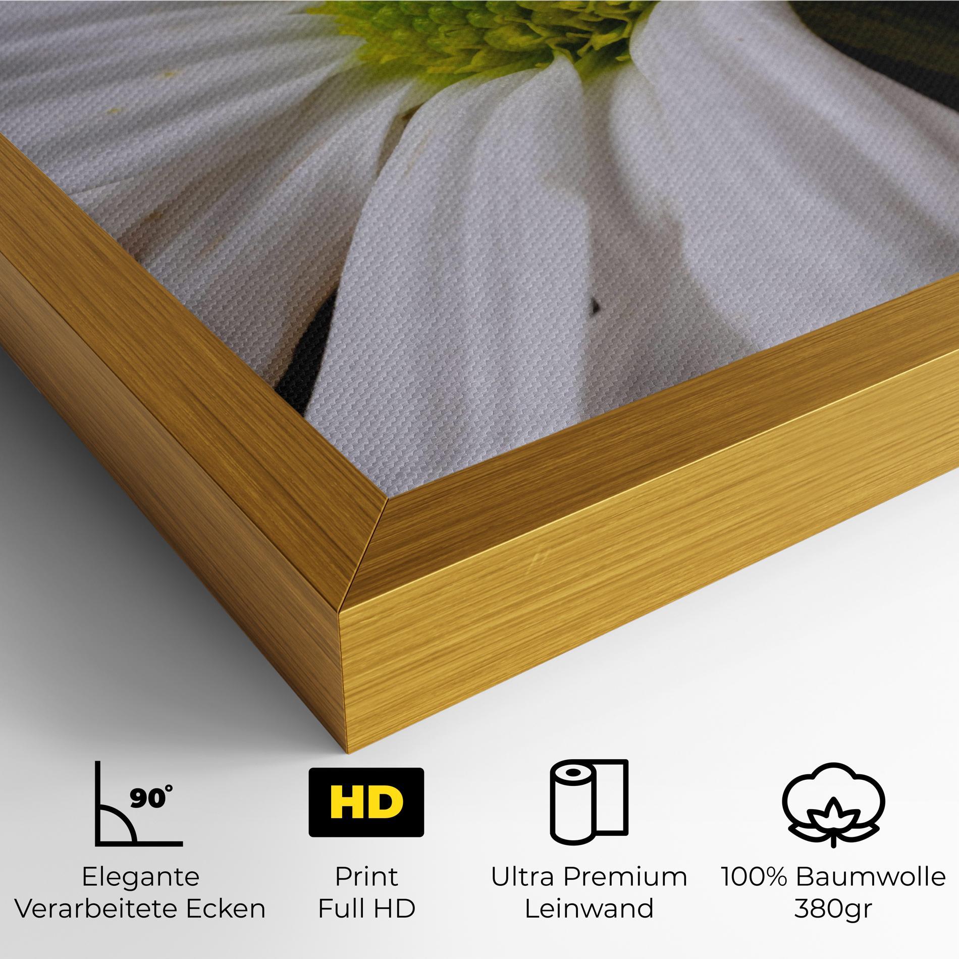 Leinwandbild Green Middle Daisy mockup 4