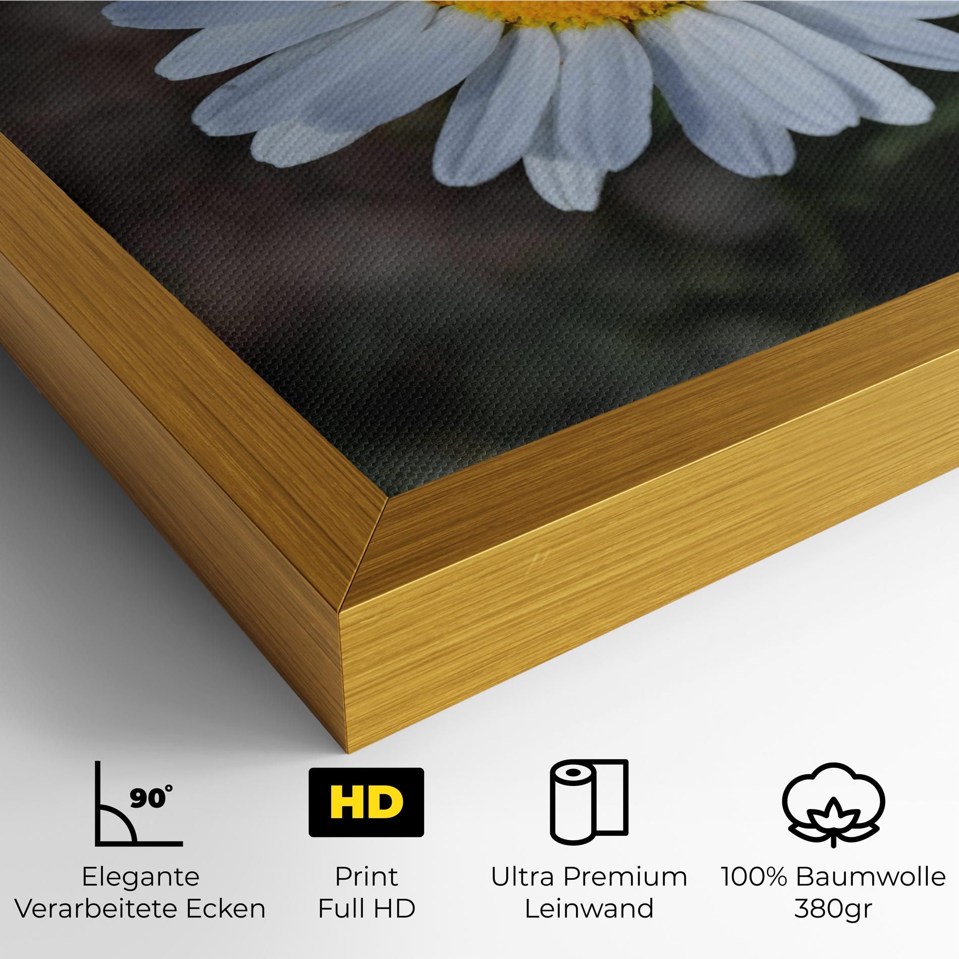 Strong Yellow Daisy mockup 4