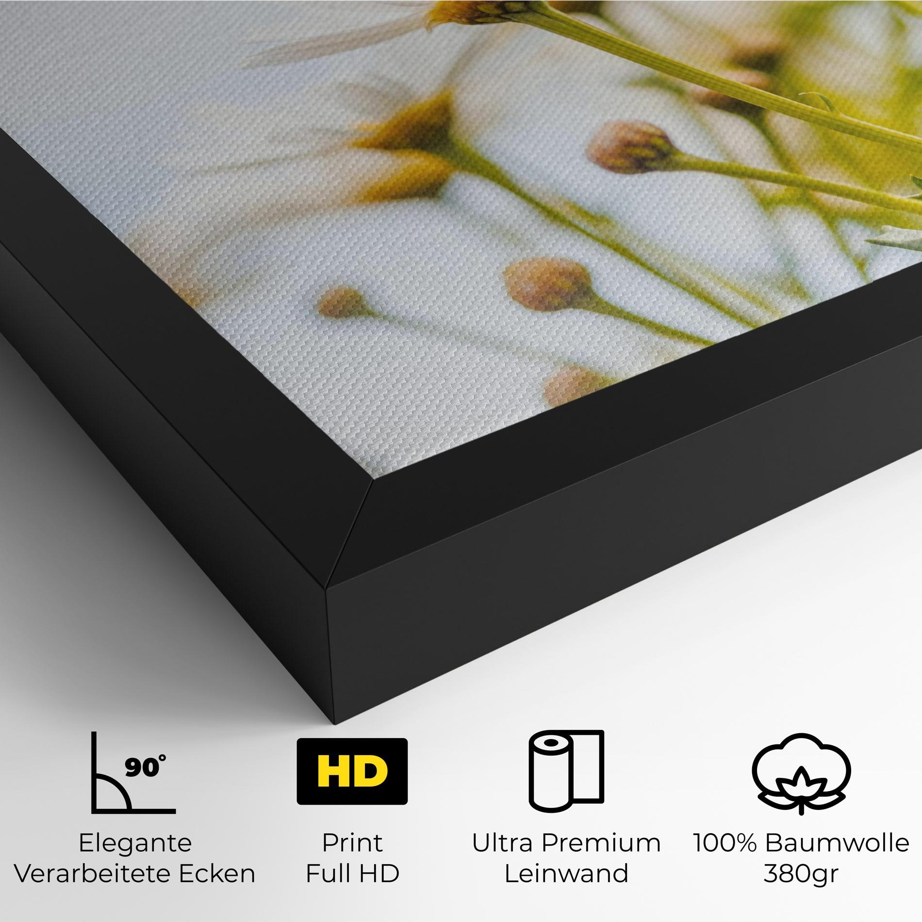 Leinwandbild Dreamy Daisy mockup 4