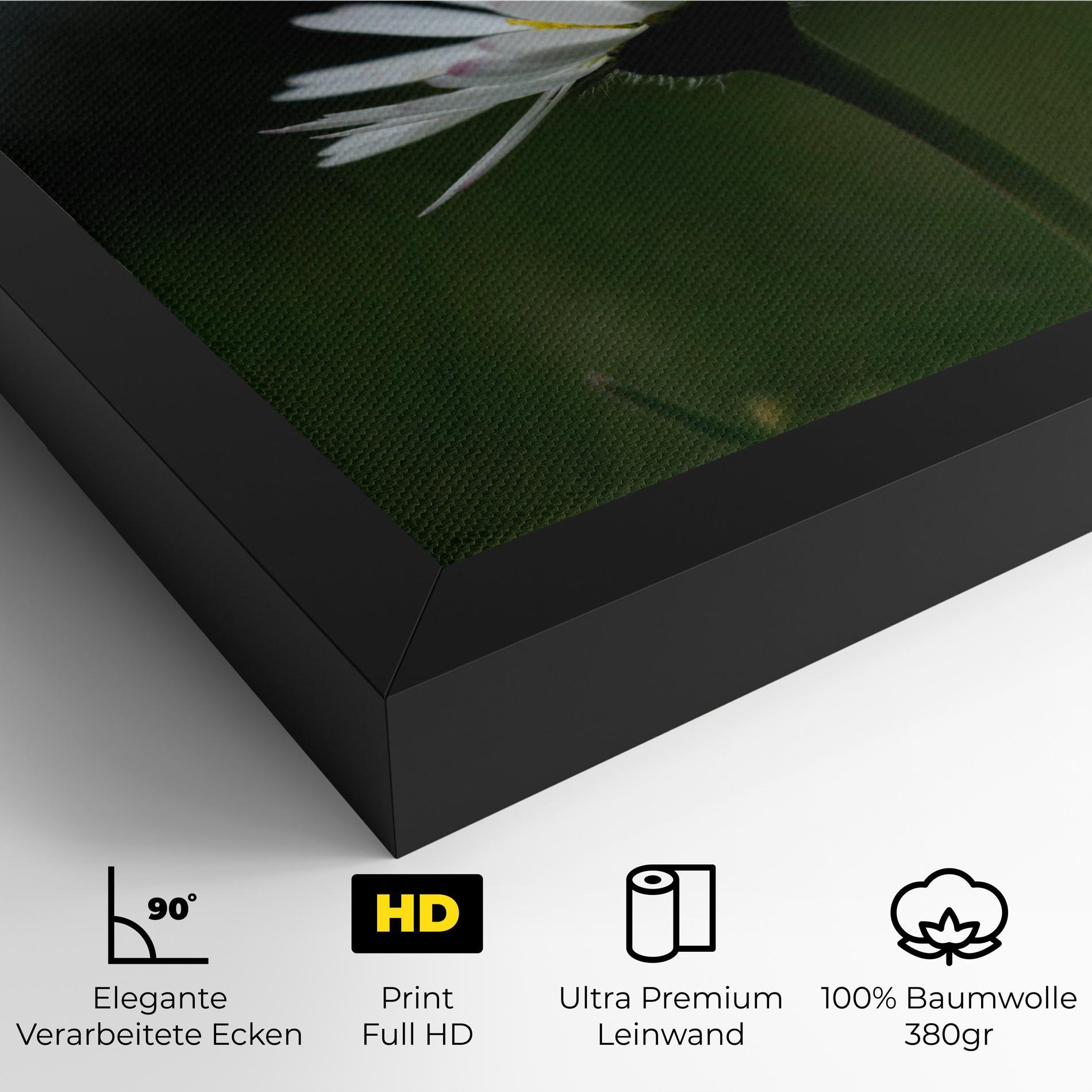 Leinwandbild Garden Daisy mockup 4