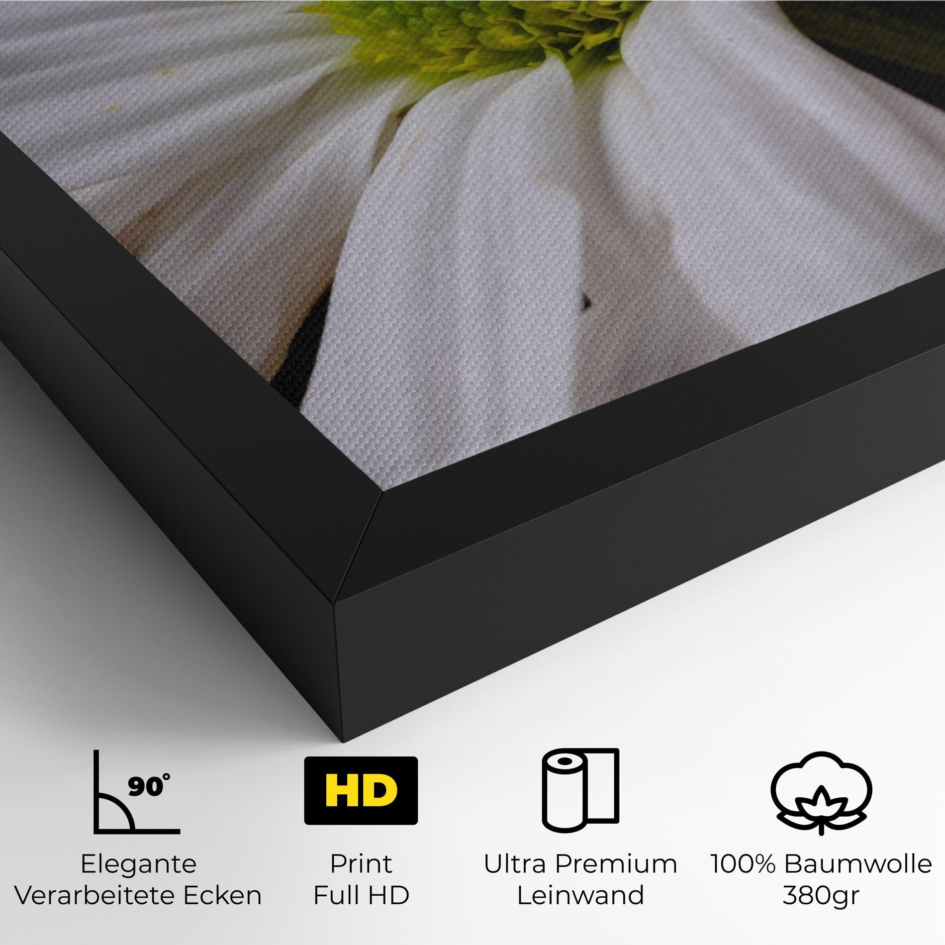 Green Middle Daisy mockup 4