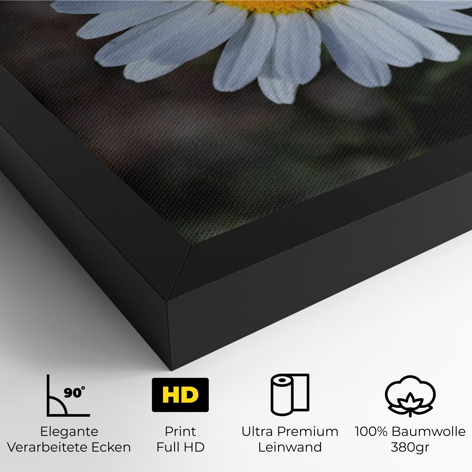 Strong Yellow Daisy mockup 4