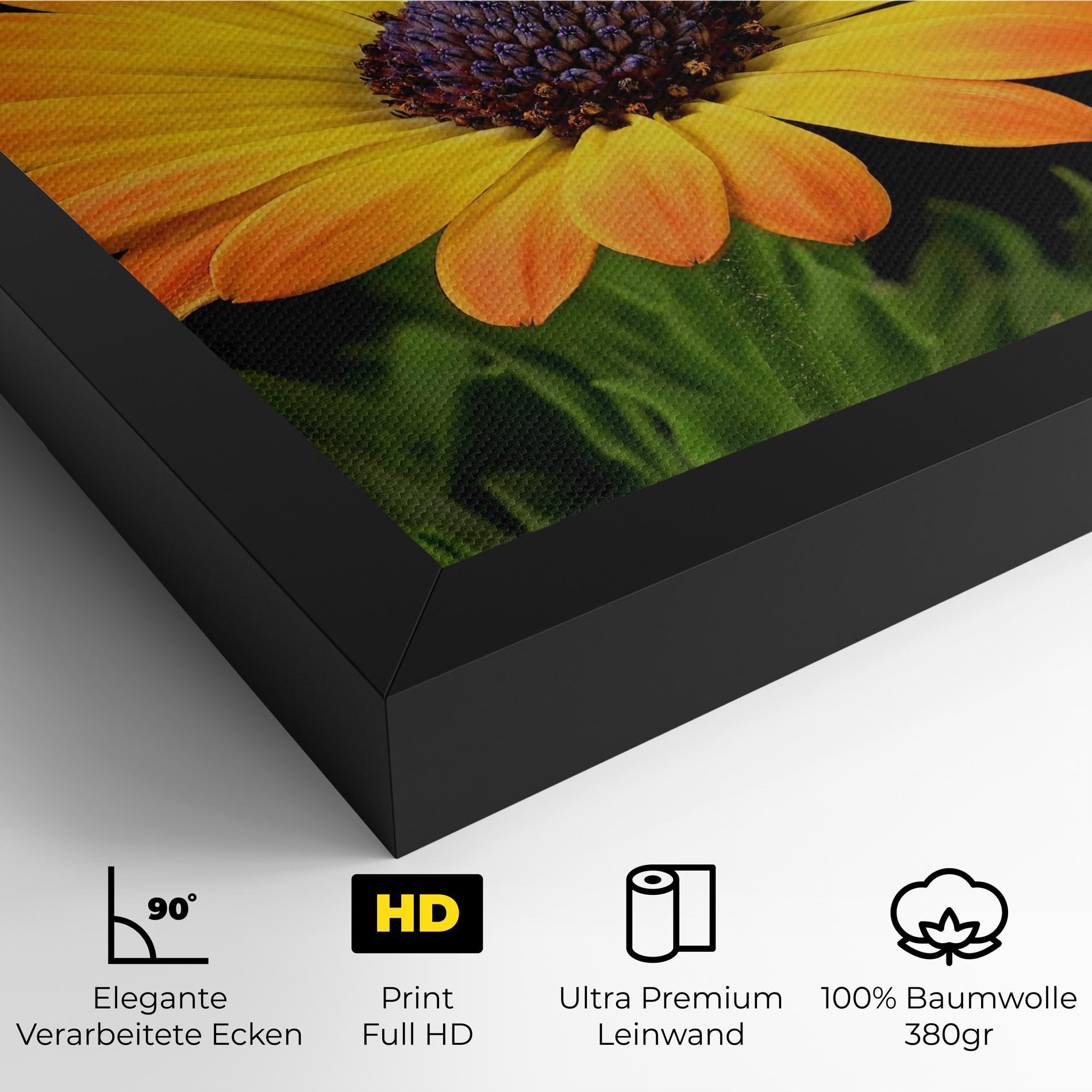 Leinwandbild Yellow Daisy mockup 4