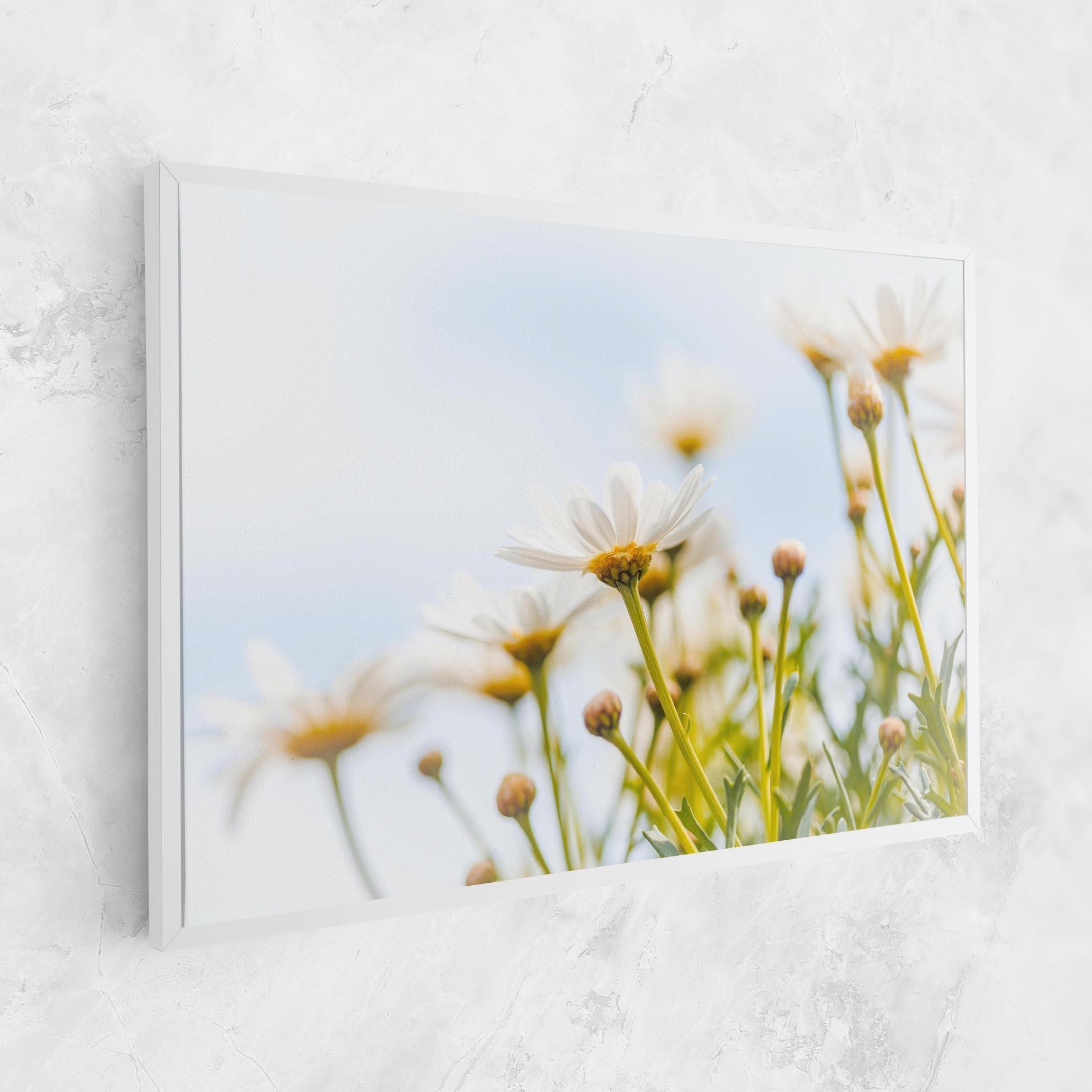 Leinwandbild Dreamy Daisy mockup 1