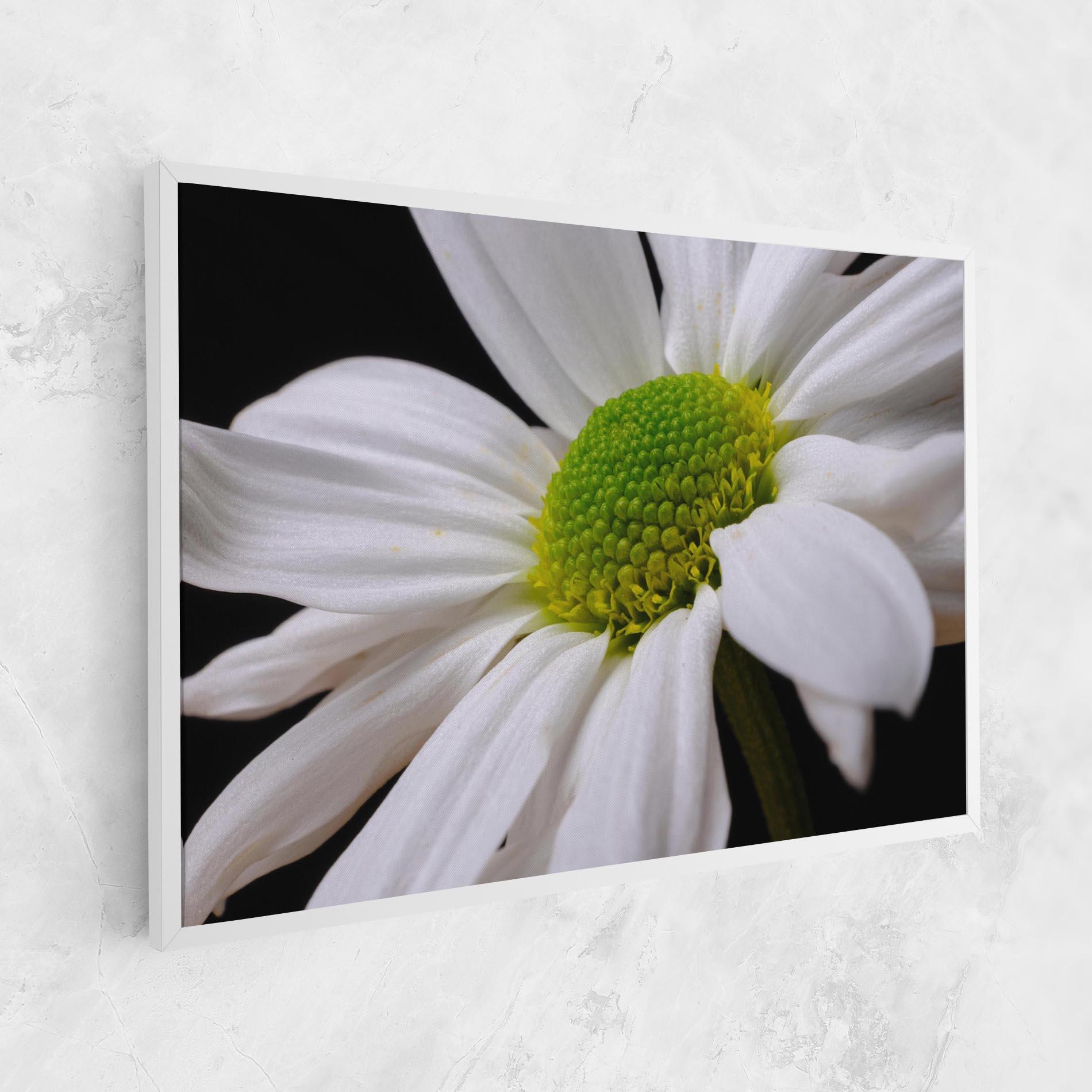Leinwandbild Green Middle Daisy mockup 1