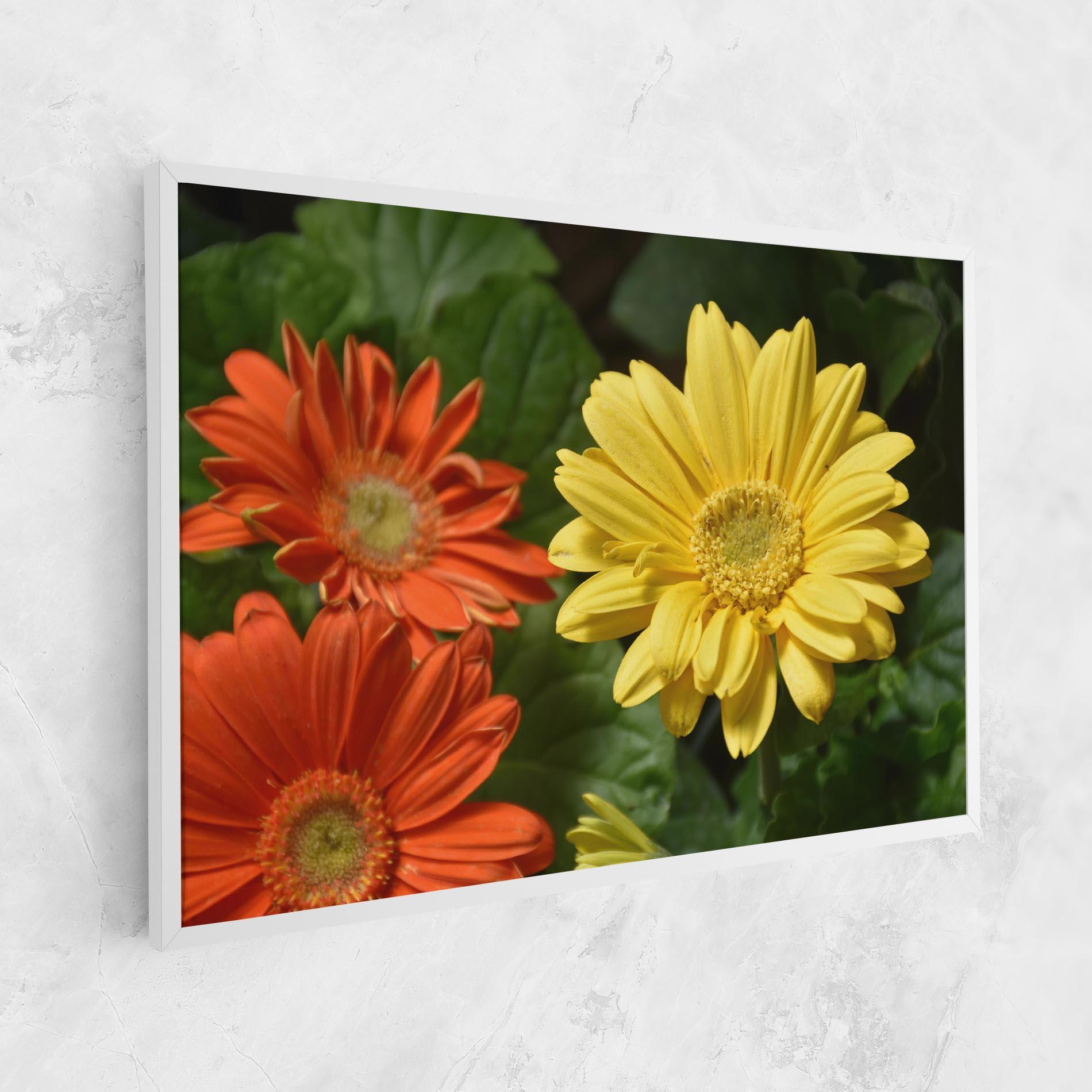 Leinwandbild Orange Yellow Daisy mockup 1