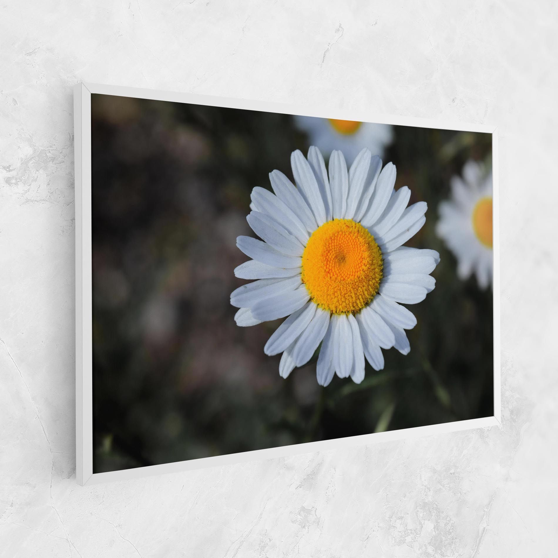 Strong Yellow Daisy mockup 1