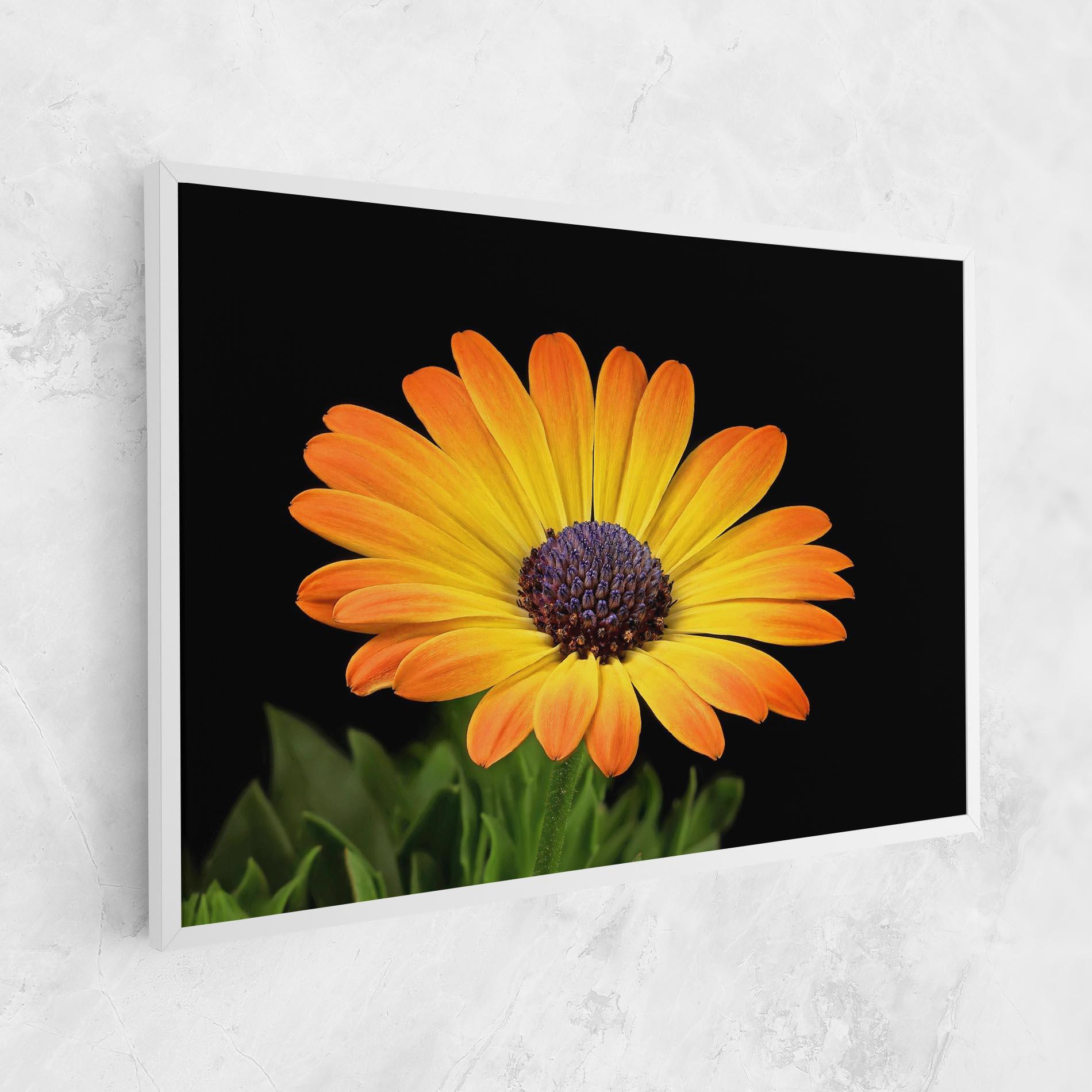 Leinwandbild Yellow Daisy mockup 1