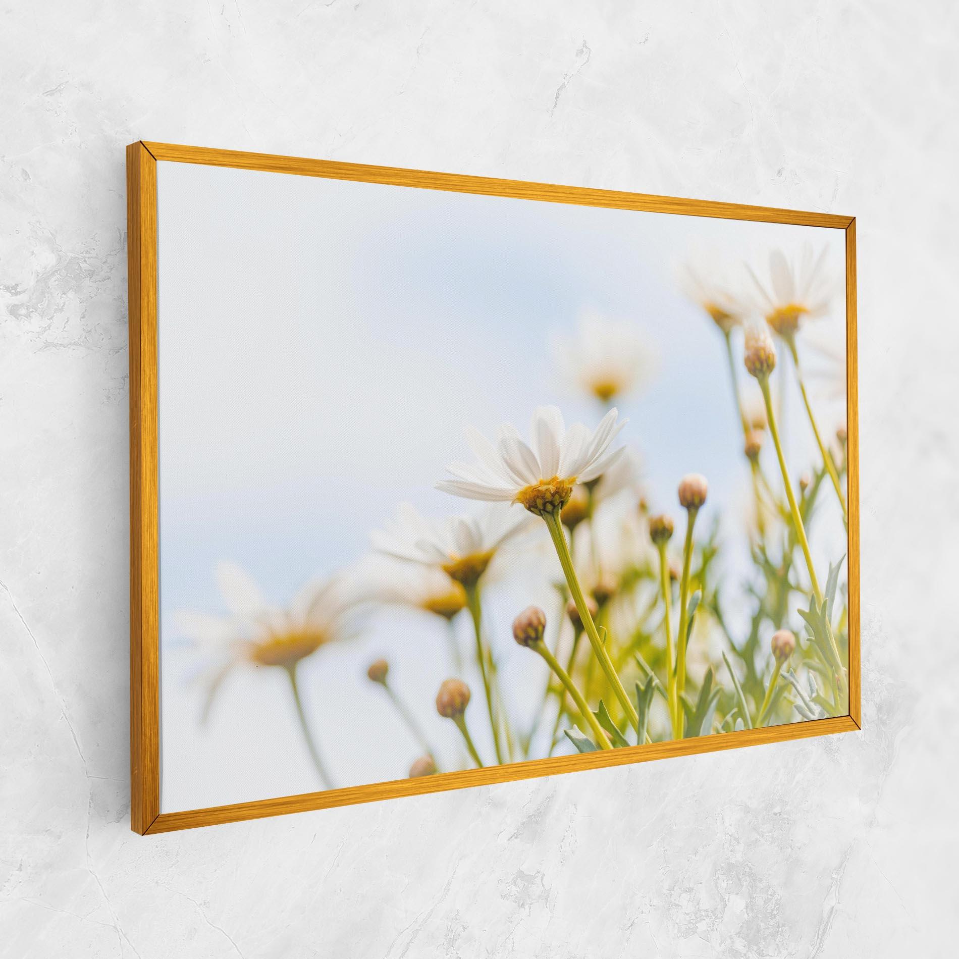 Leinwandbild Dreamy Daisy mockup 1