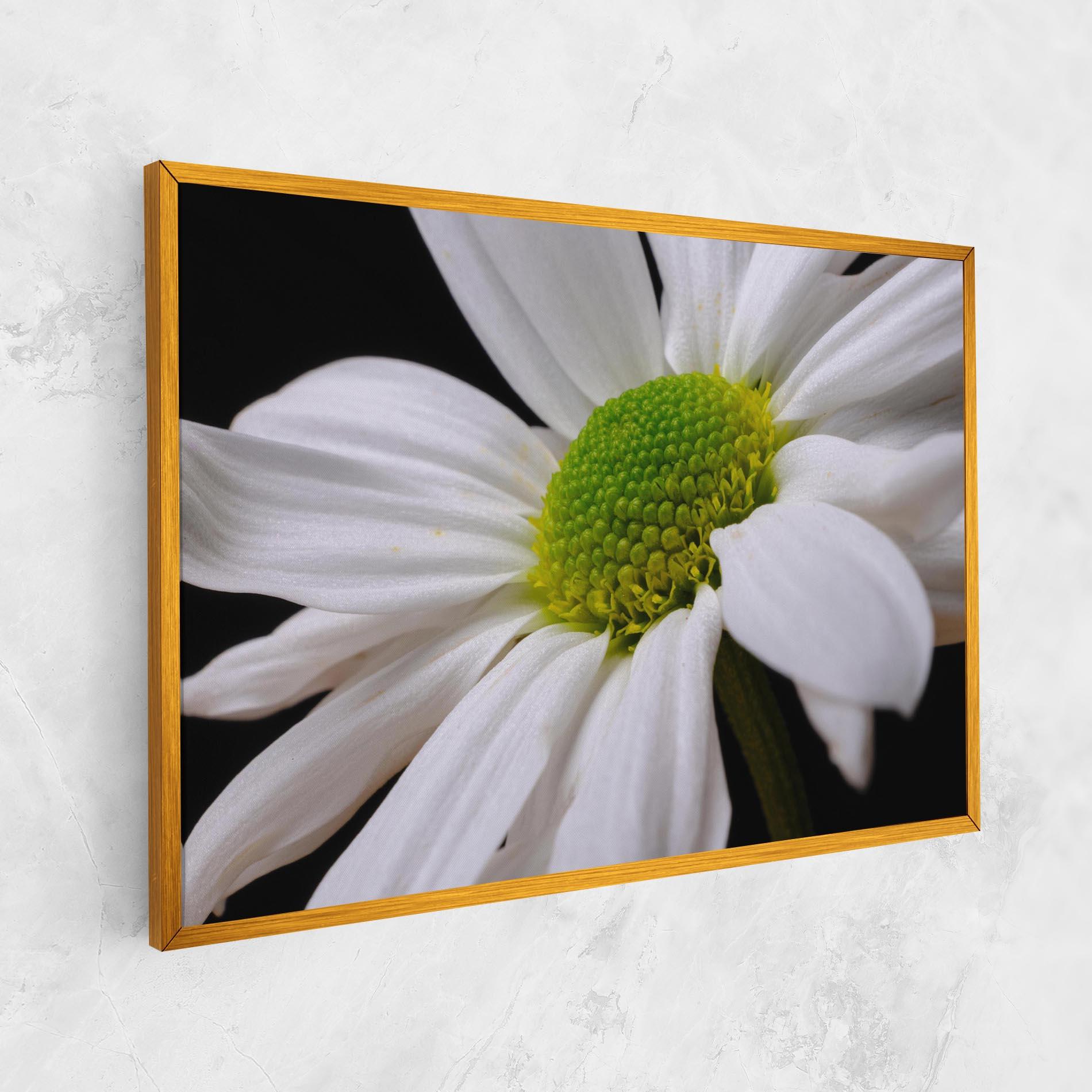 Leinwandbild Green Middle Daisy mockup 1