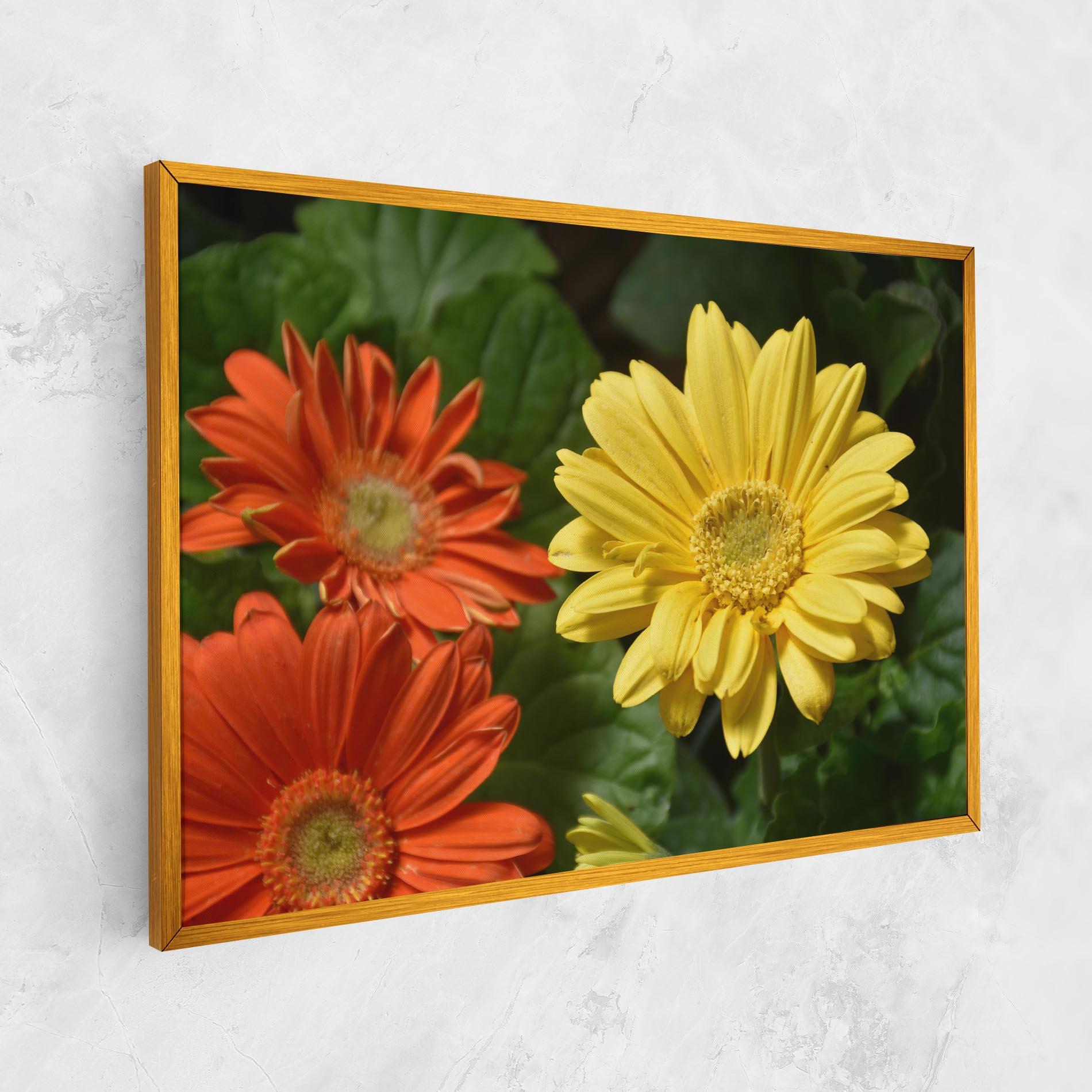 Leinwandbild Orange Yellow Daisy mockup 1