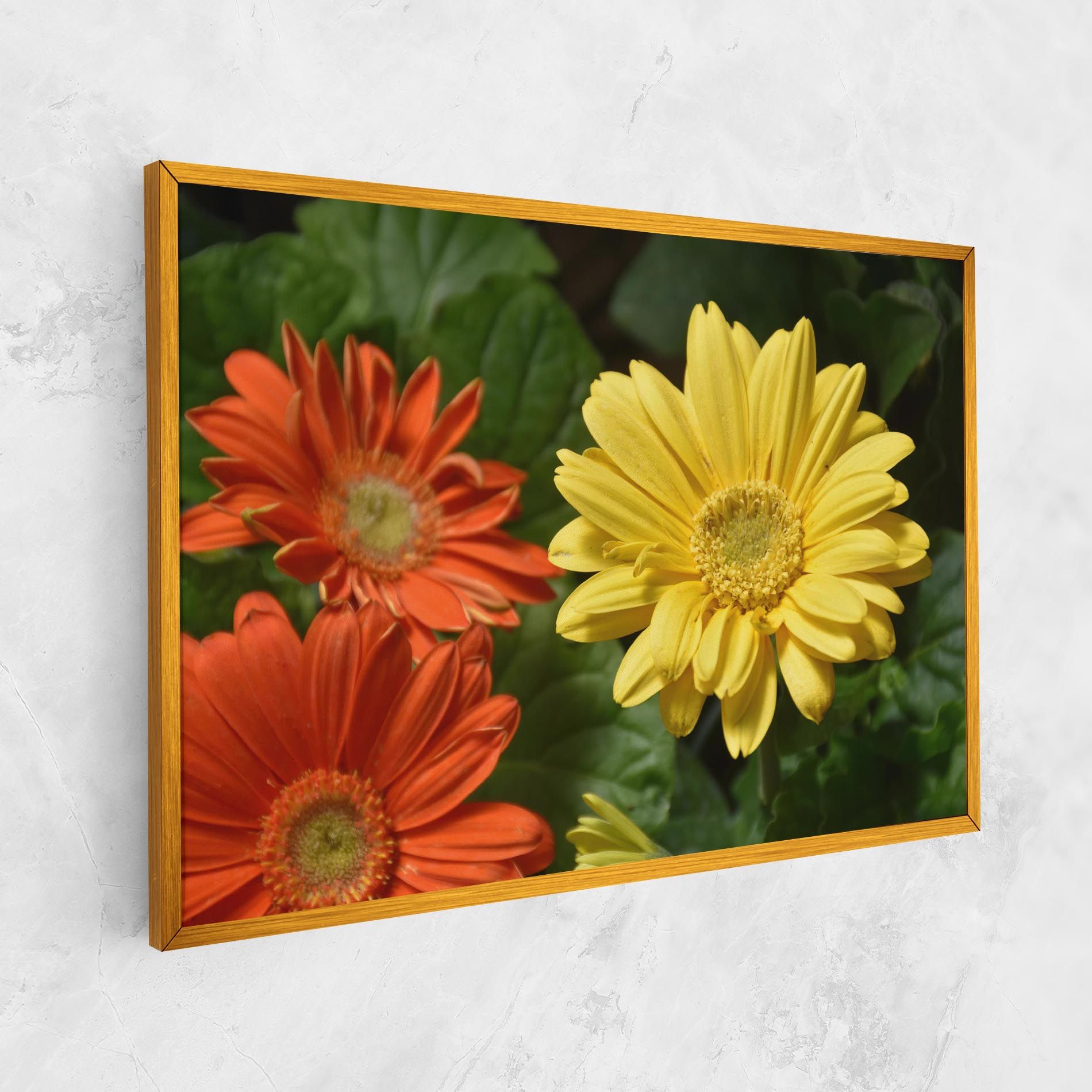 Orange Yellow Daisy mockup 1