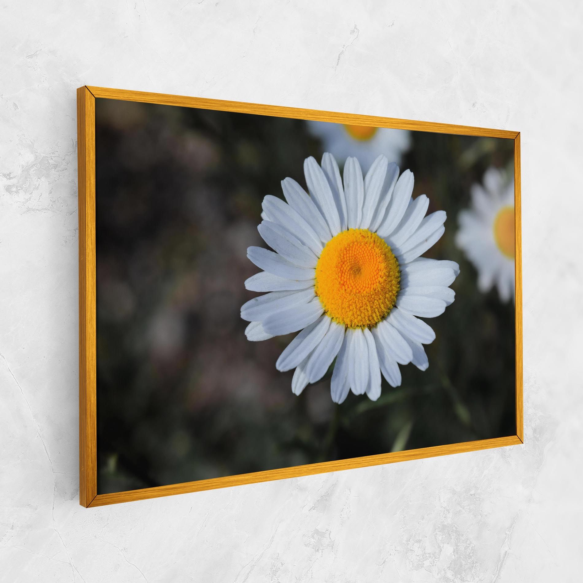 Strong Yellow Daisy mockup 1