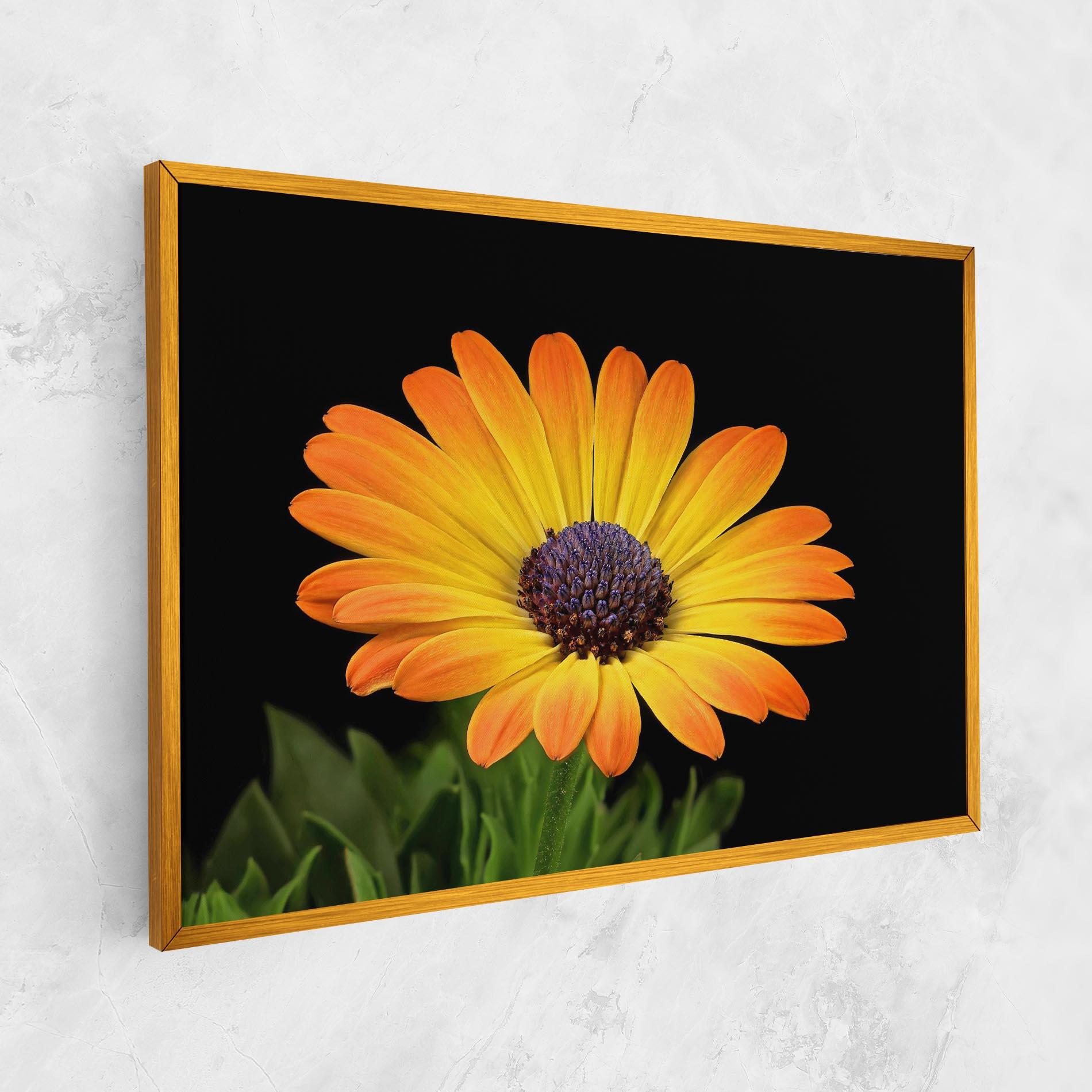 Leinwandbild Yellow Daisy mockup 1