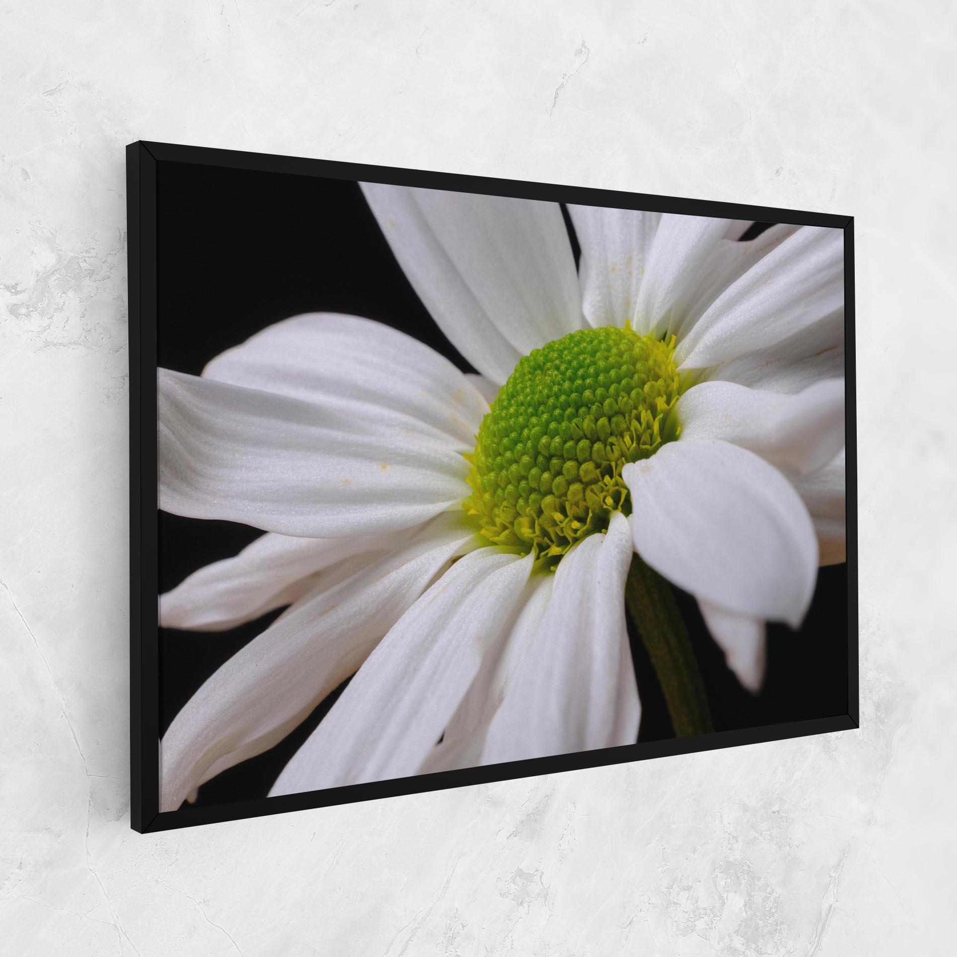 Leinwandbild Green Middle Daisy mockup 1