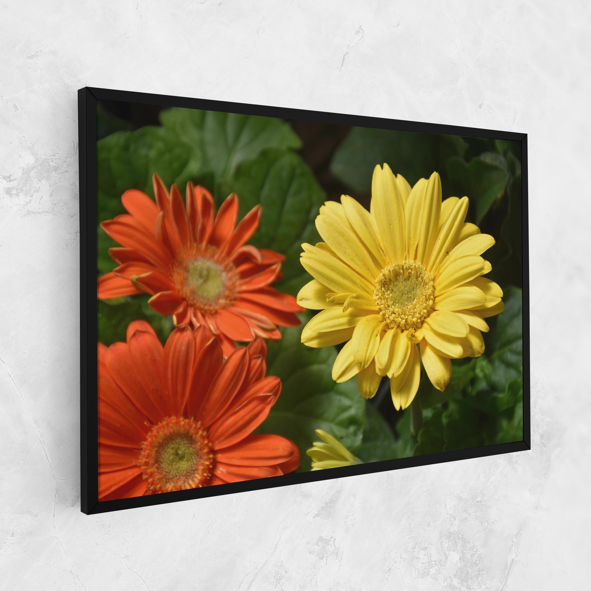 Leinwandbild Orange Yellow Daisy mockup 1