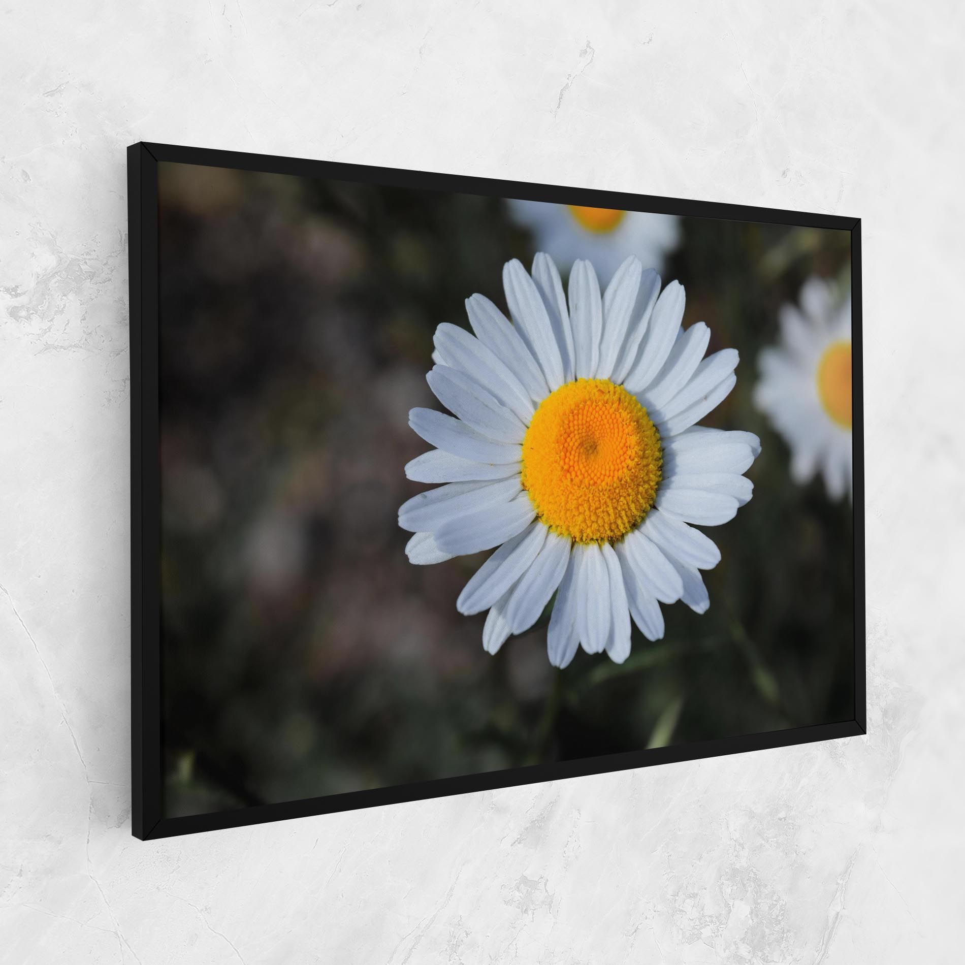 Strong Yellow Daisy mockup 1