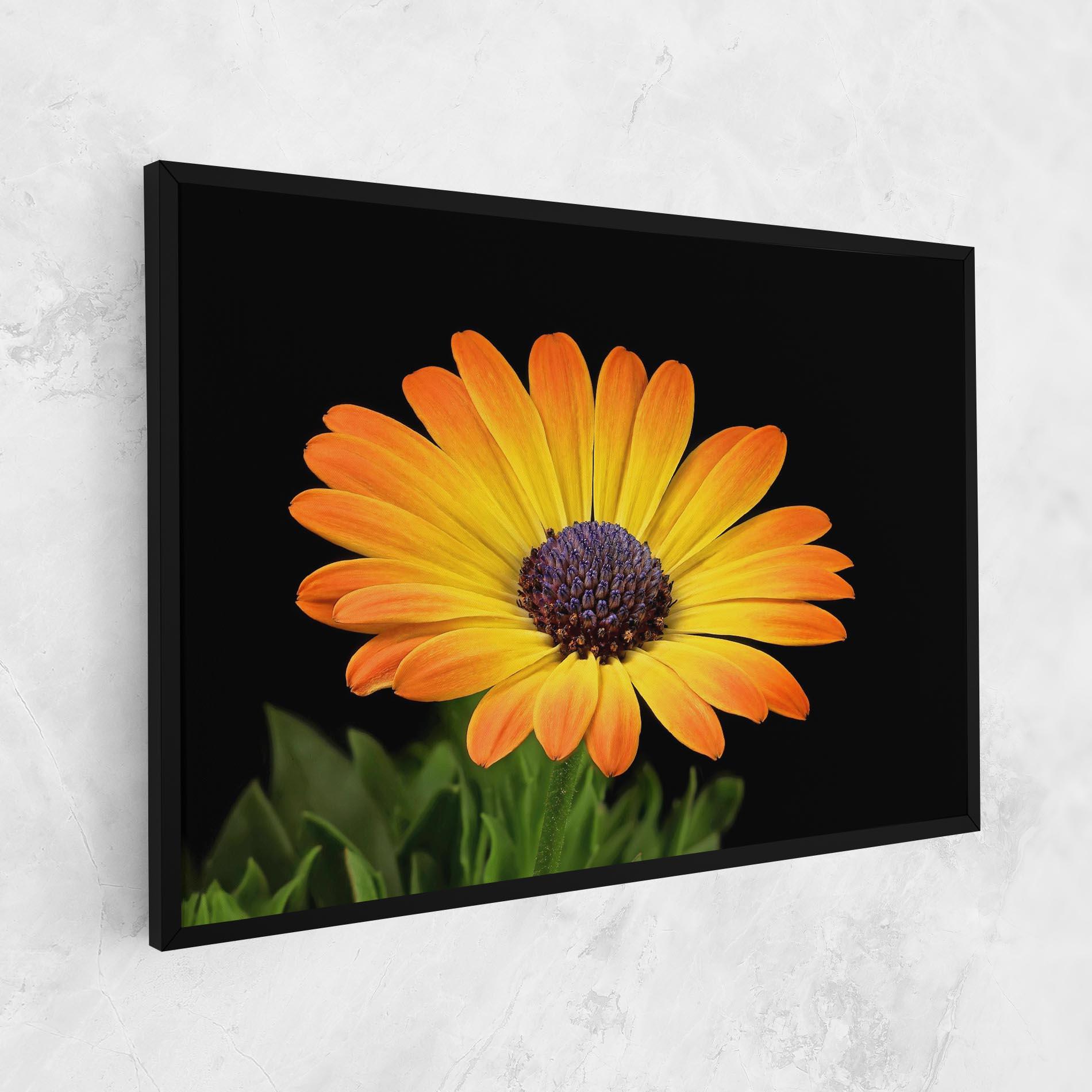 Leinwandbild Yellow Daisy mockup 1