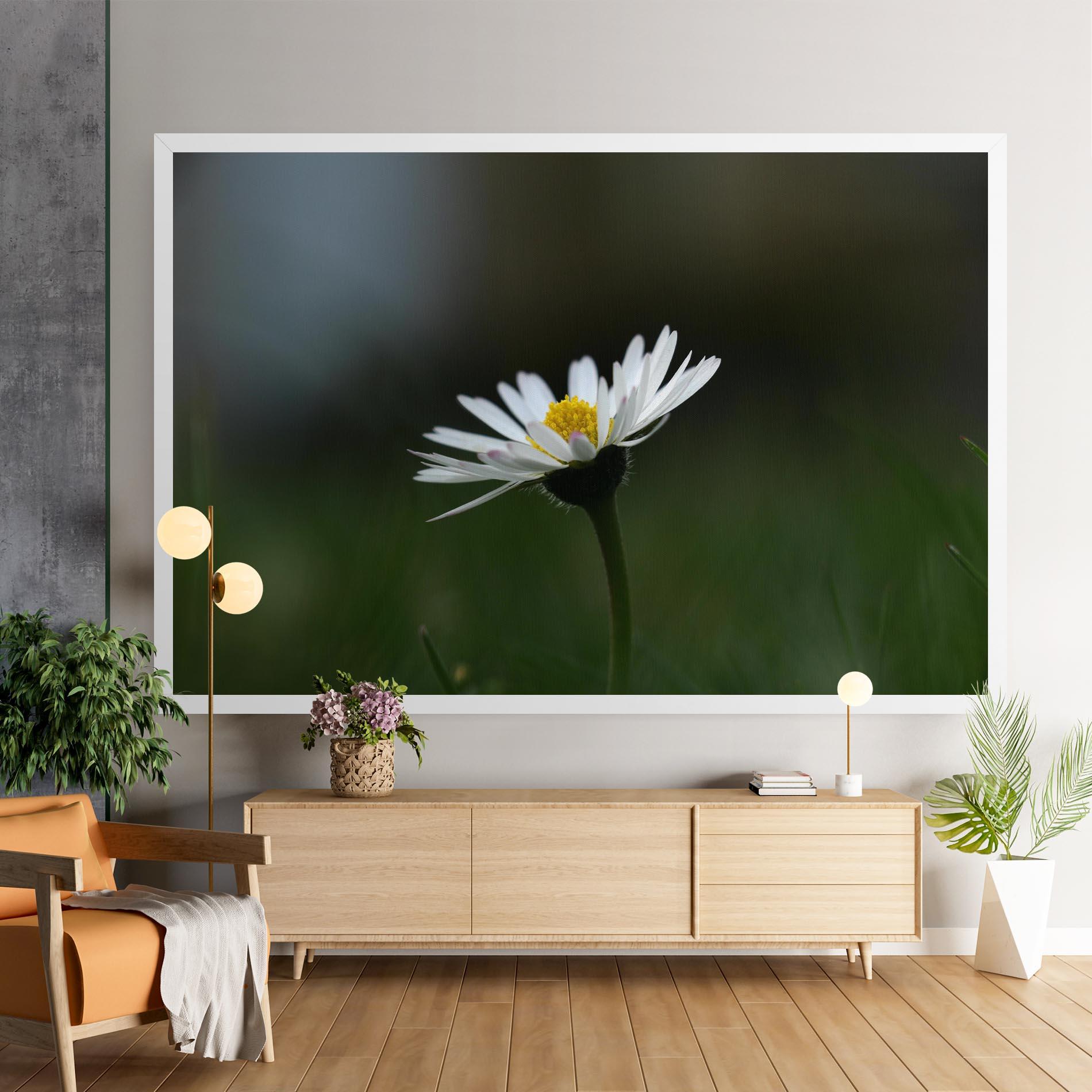 Leinwandbild Garden Daisy mockup 9