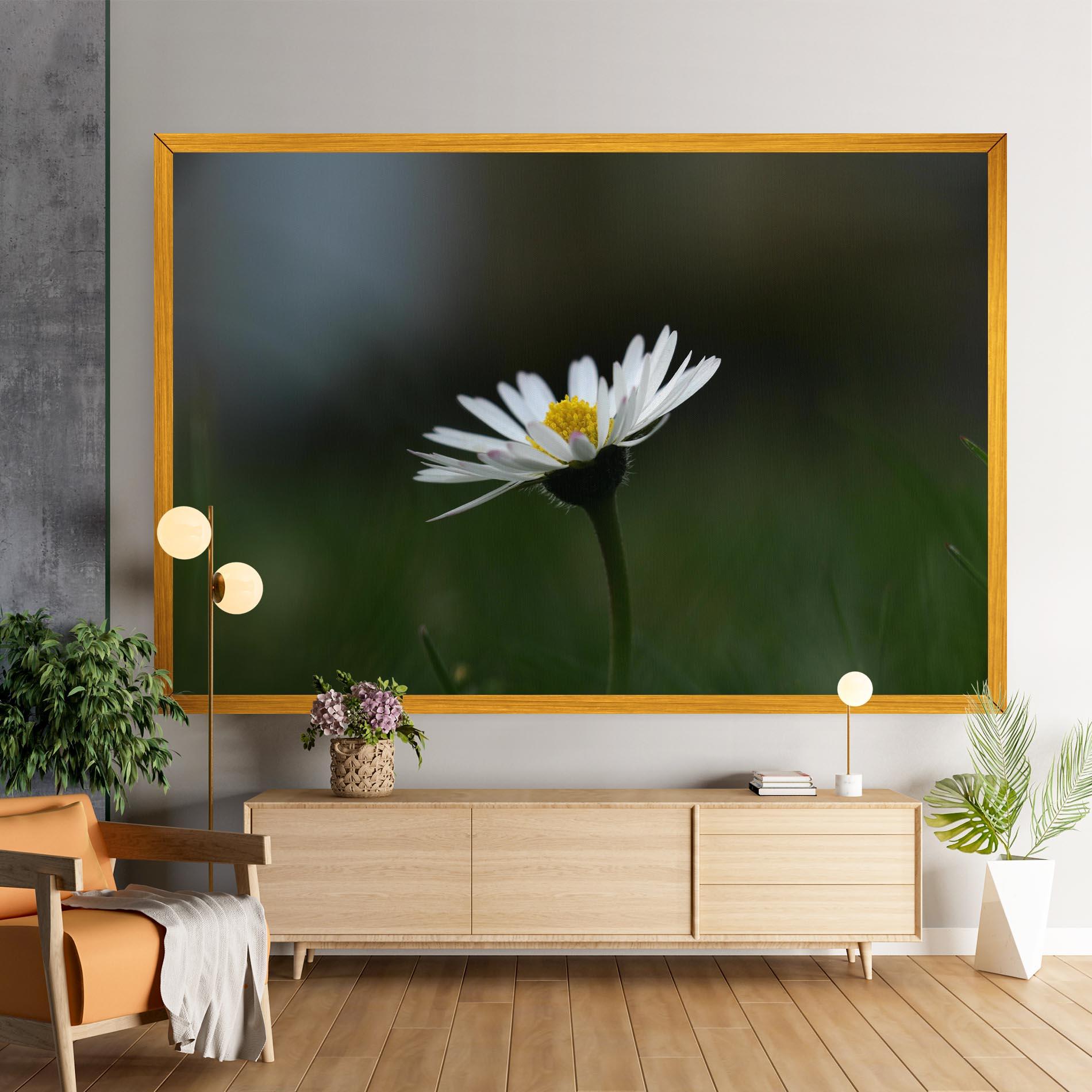 Leinwandbild Garden Daisy mockup 9