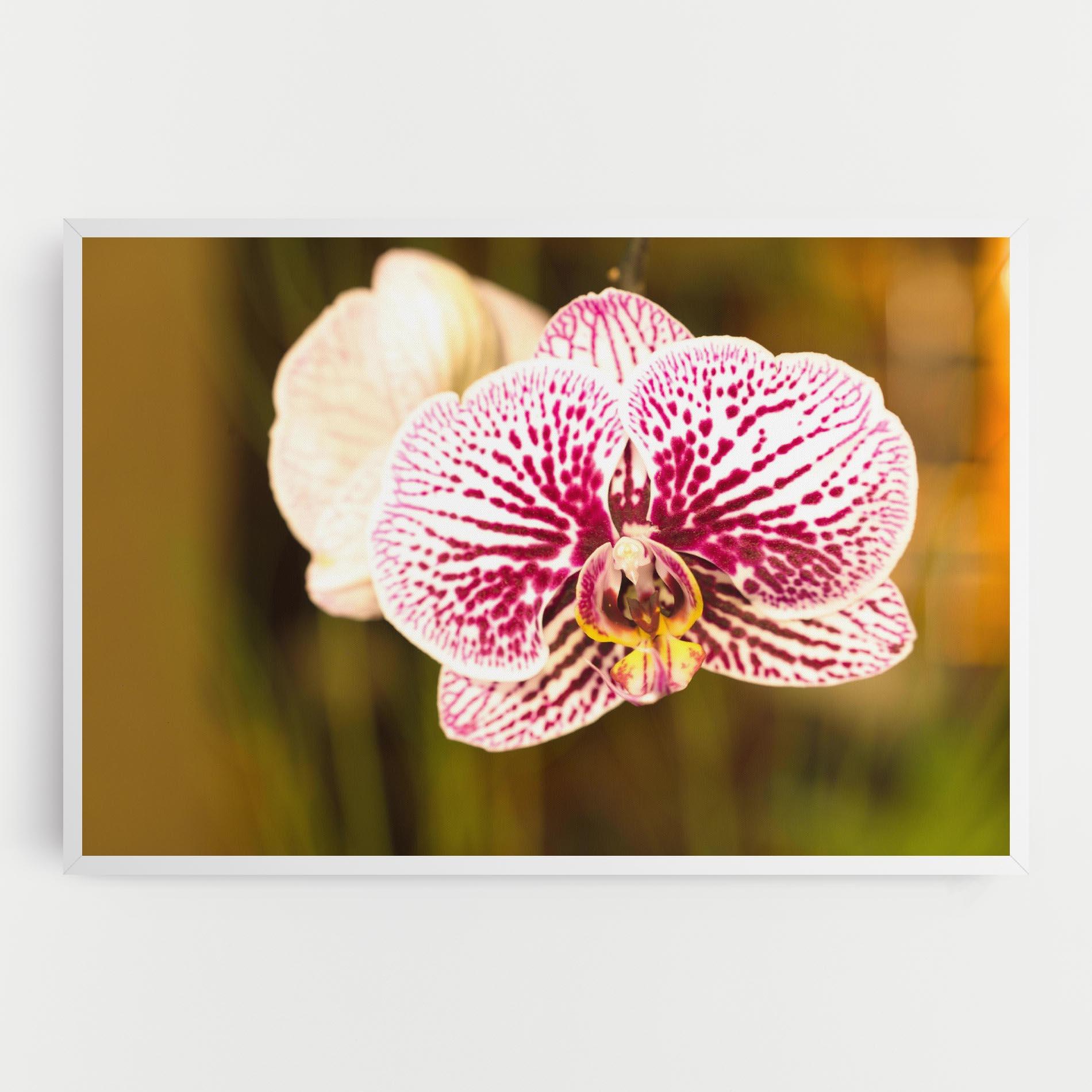 Leinwandbild Garden Orchids mockup 0