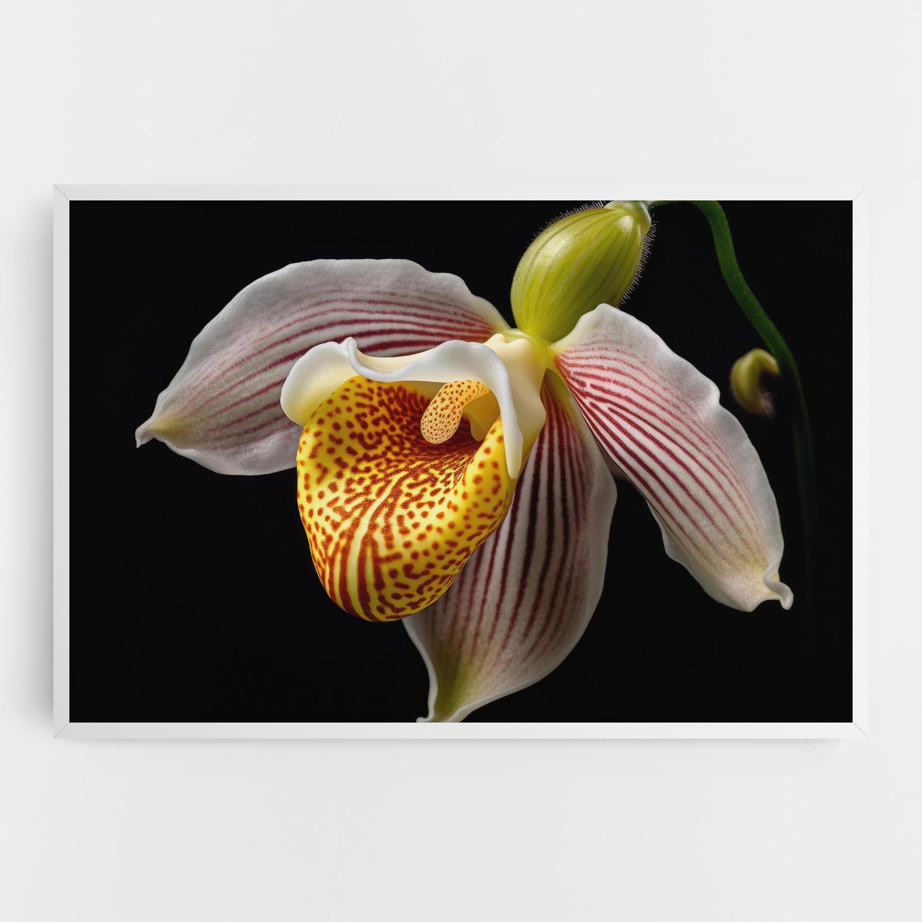 Leinwandbild Orchid On Black mockup 0