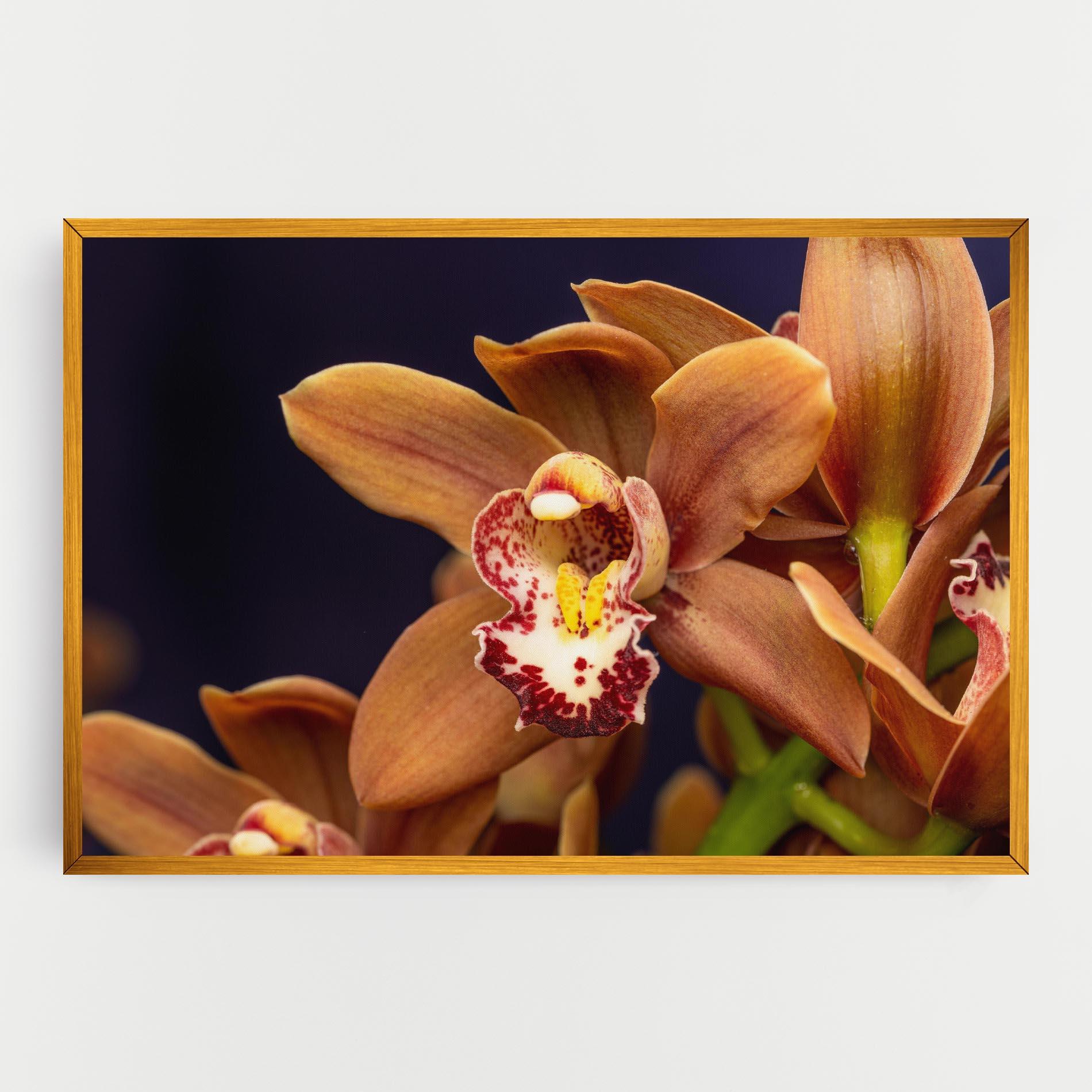 Leinwandbild Dirty Orange Orchid mockup 0