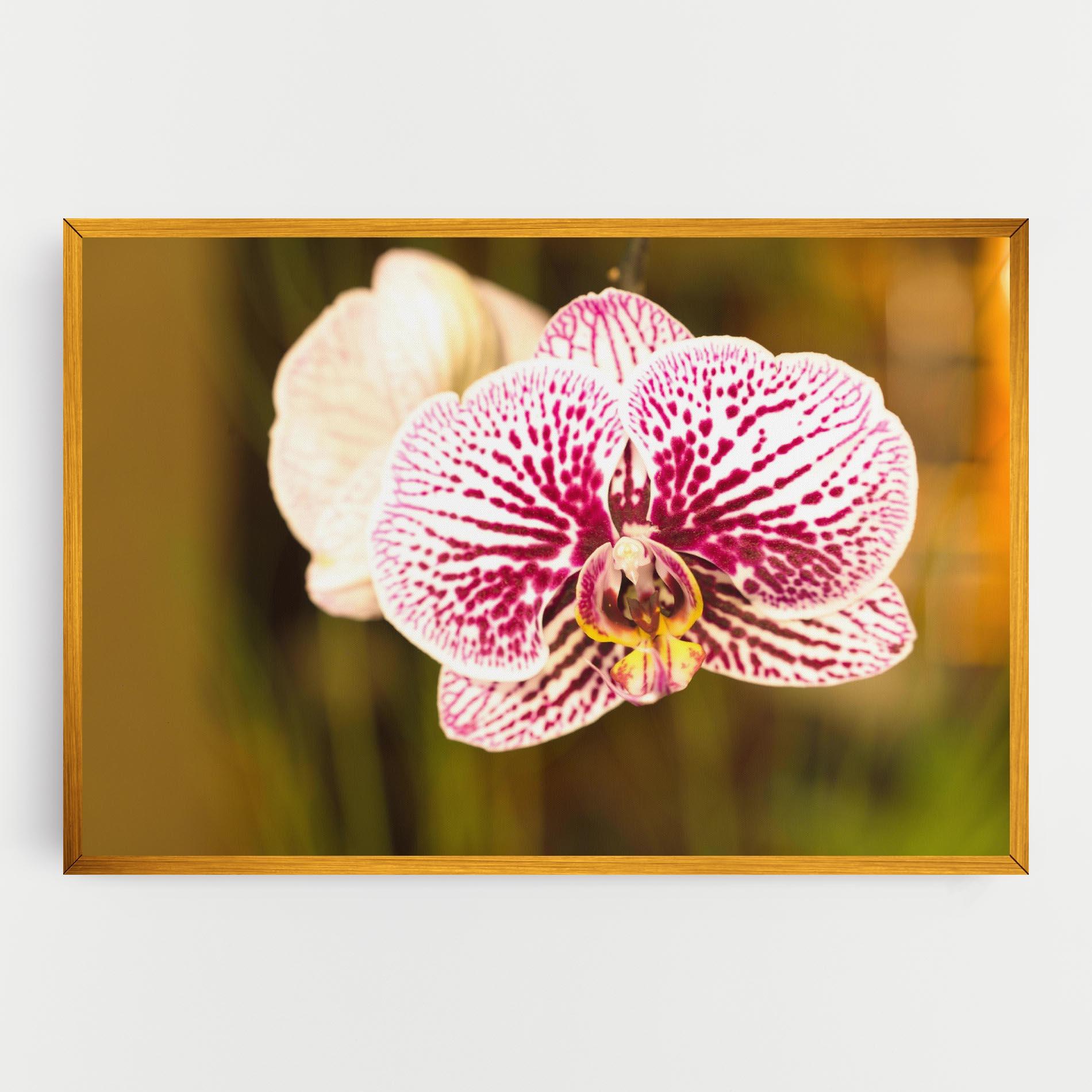 Leinwandbild Garden Orchids mockup 0