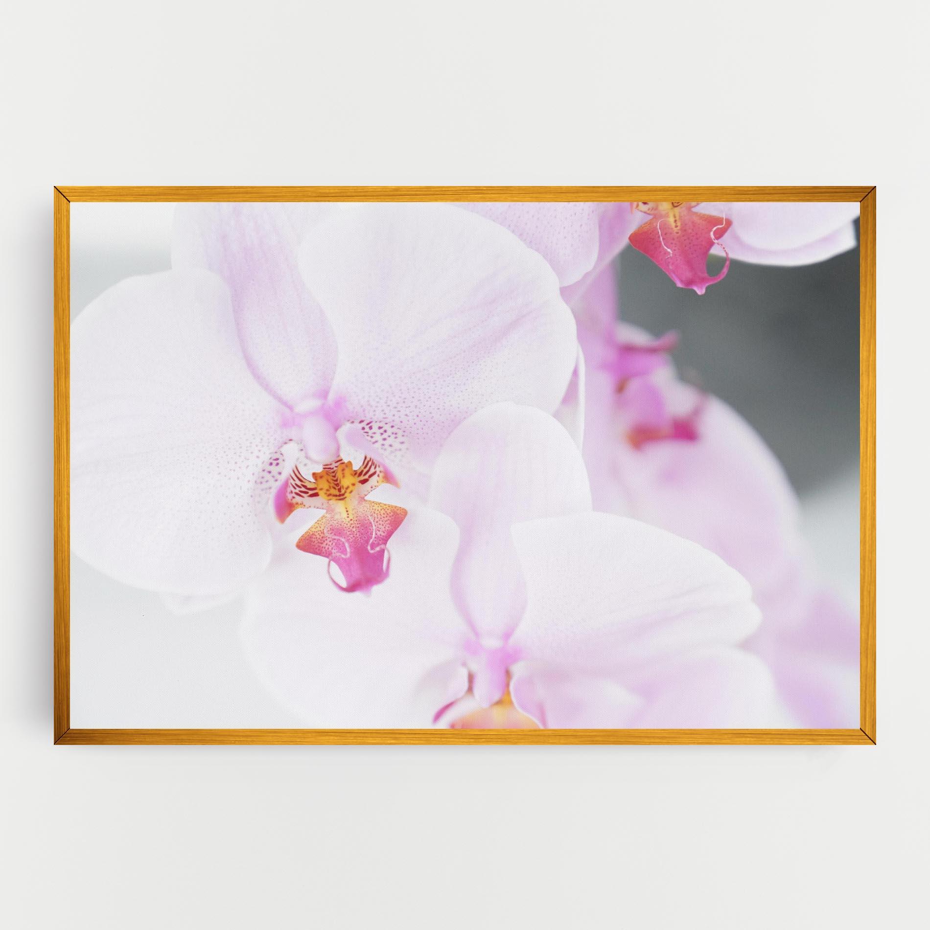 Leinwandbild Light Purple Orchid mockup 0