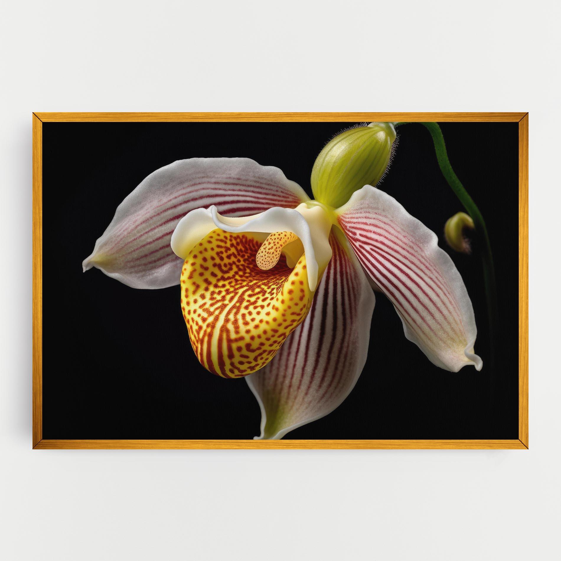 Leinwandbild Orchid On Black mockup 0